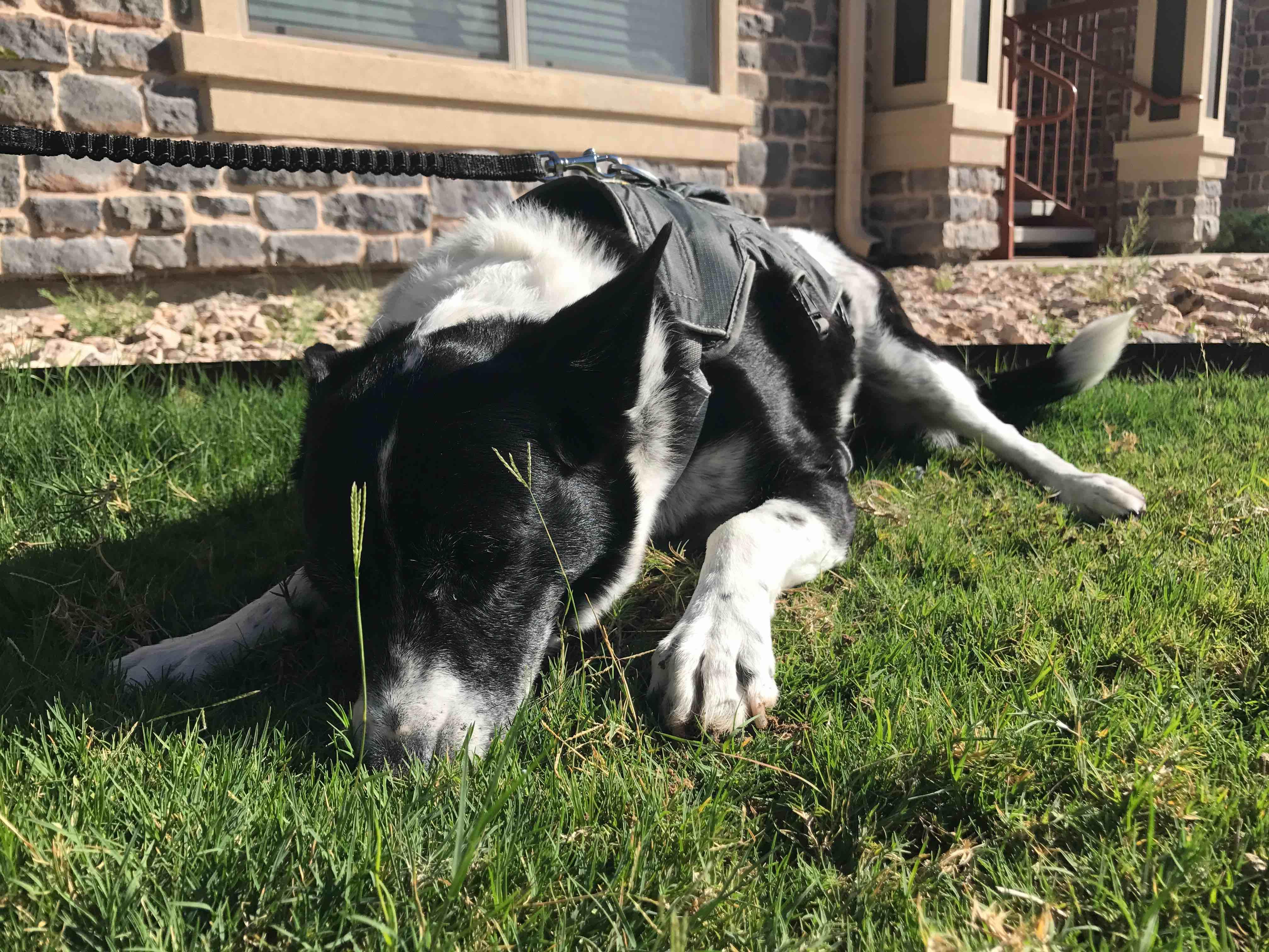 Question details sensitive content