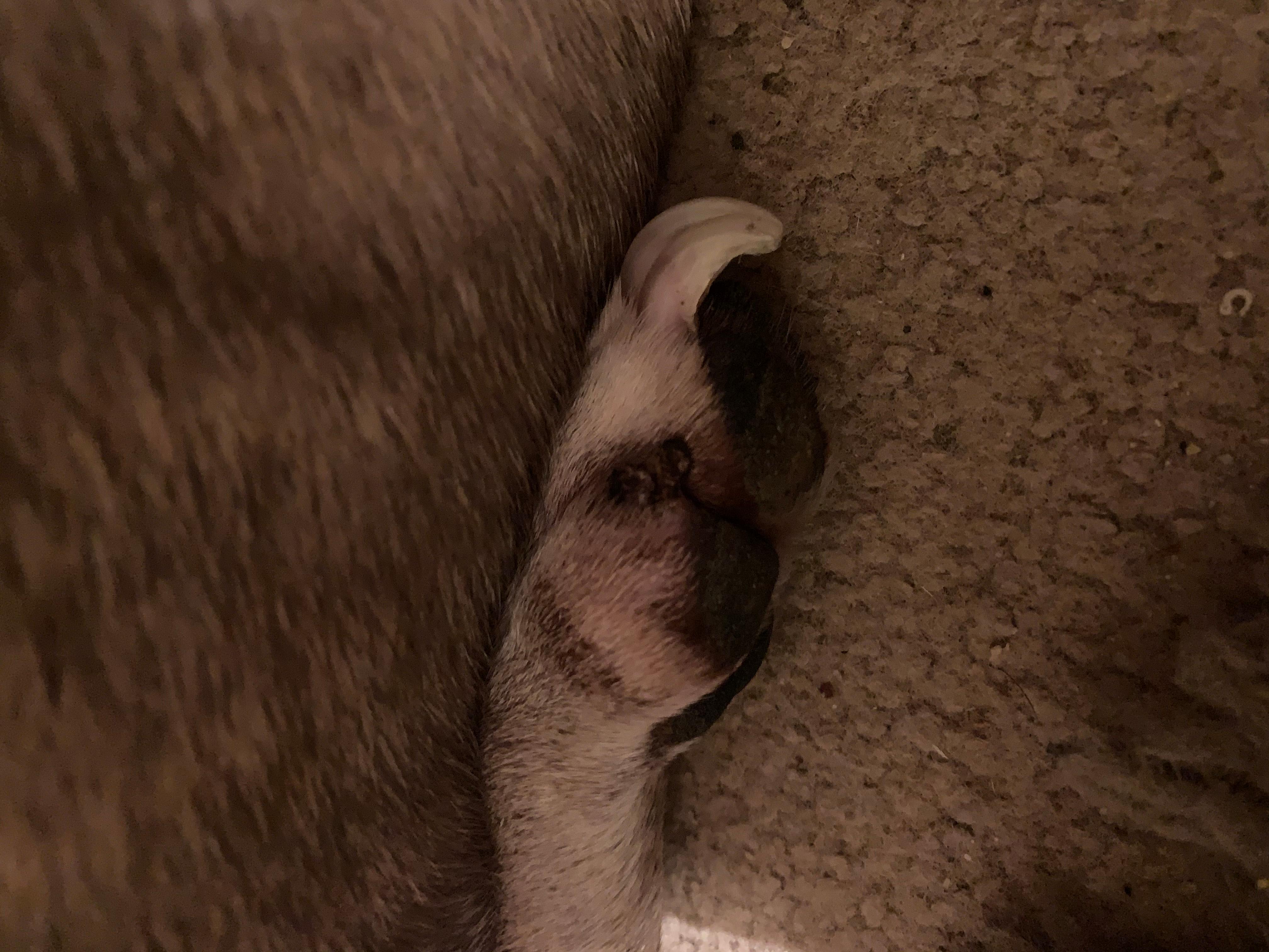 Question details sensitive content