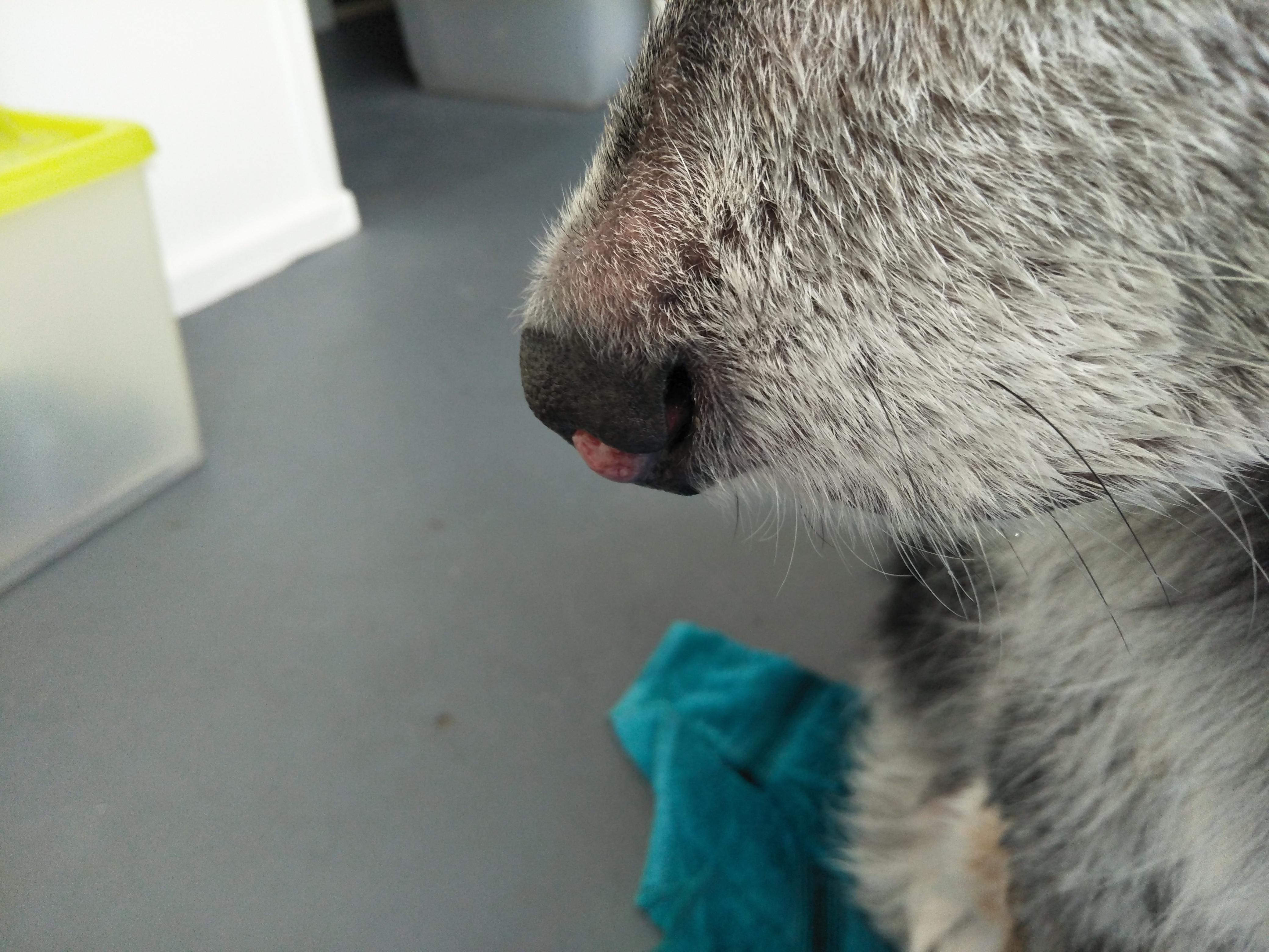 Question details sensitive content