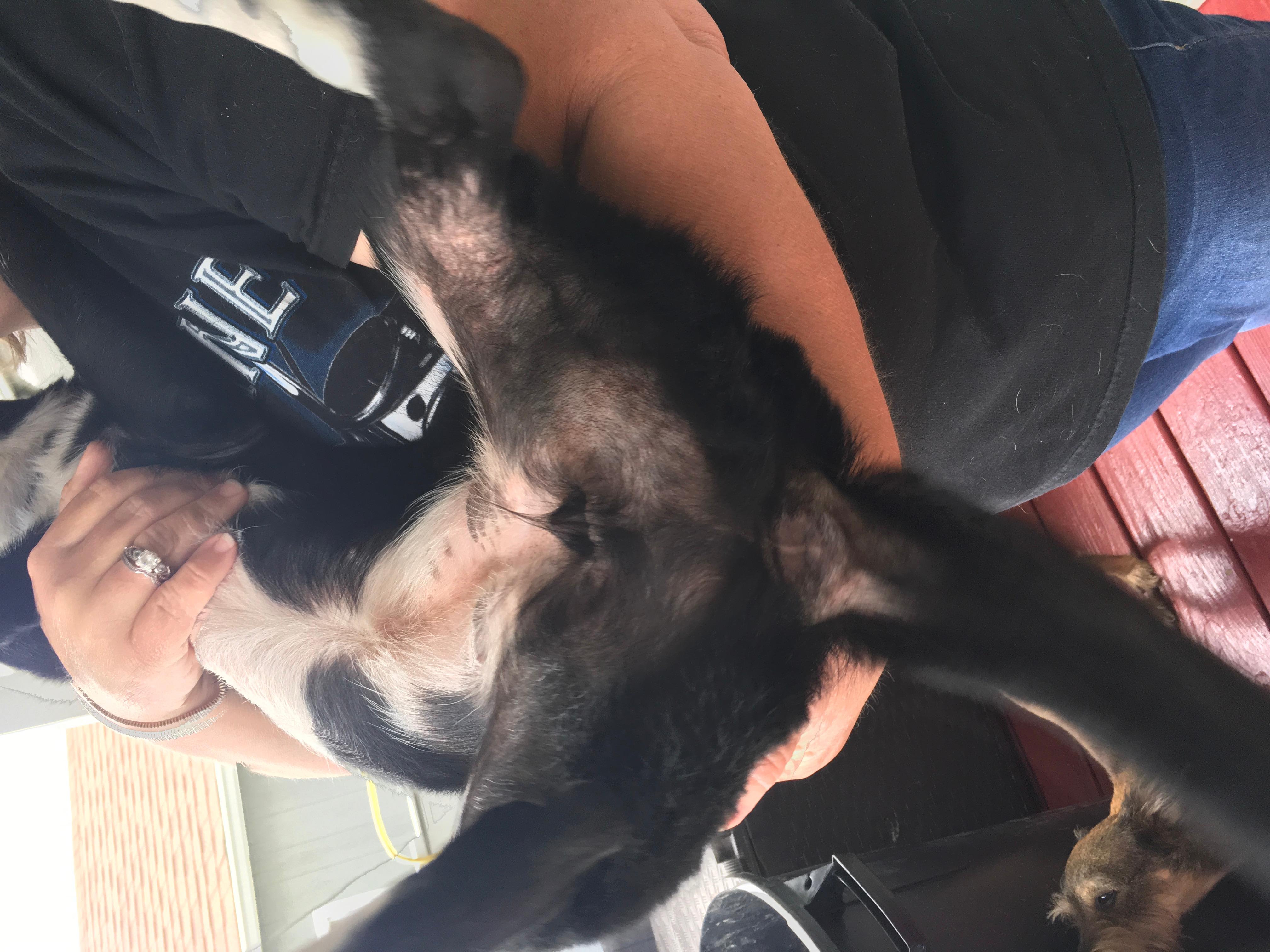 Question details sensitive content