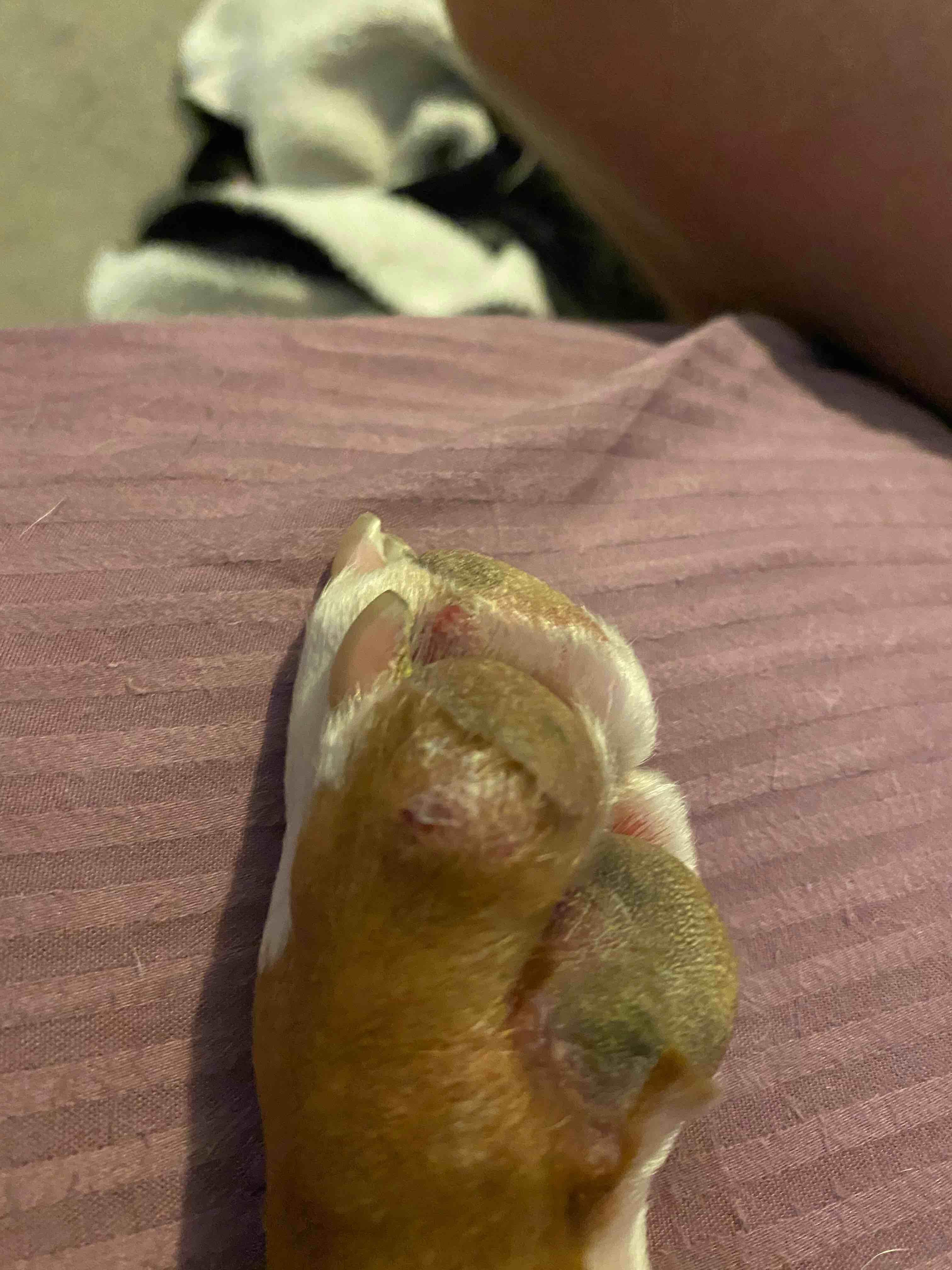 Question details sensitive content