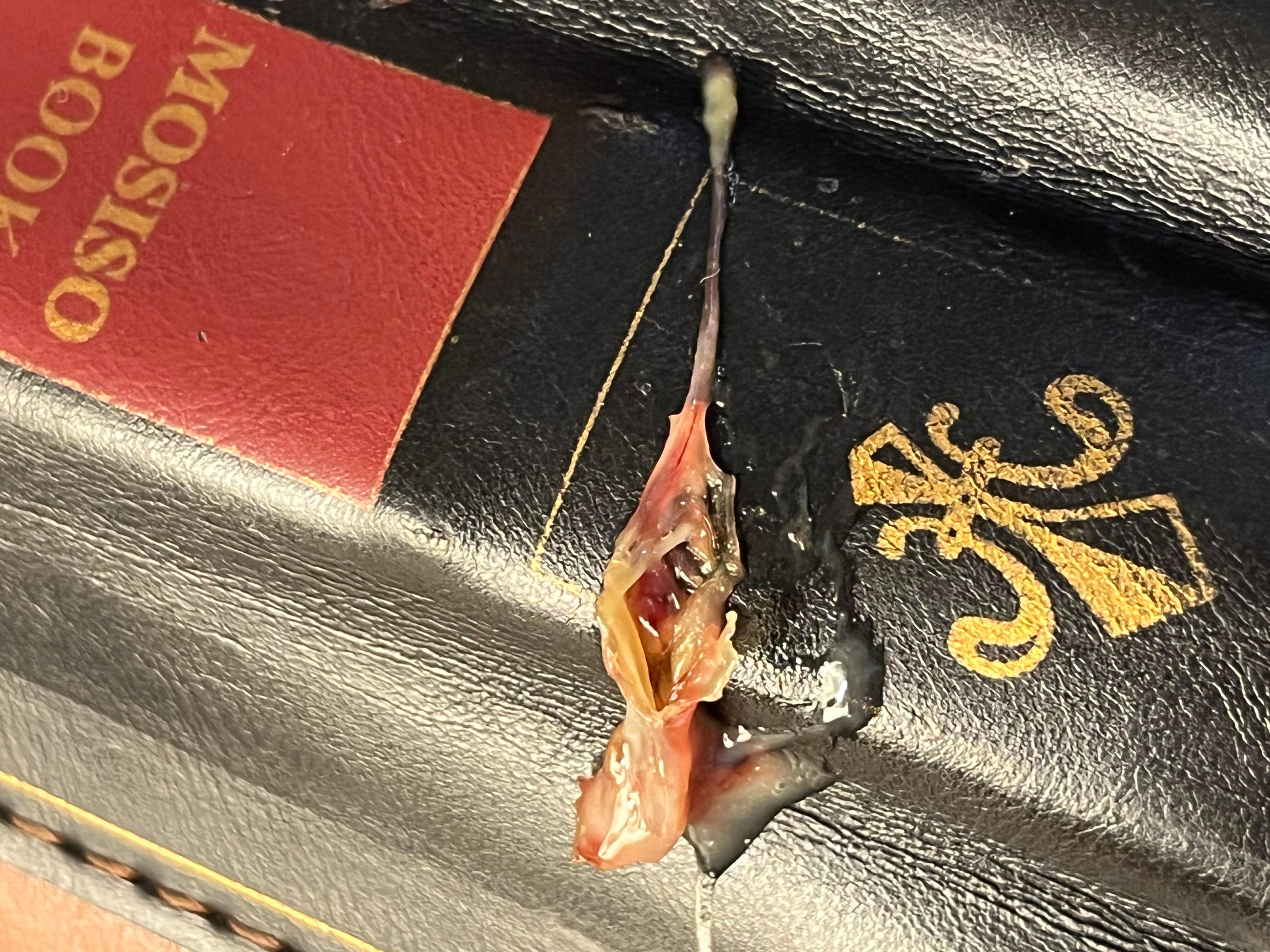 Question details sensitive content