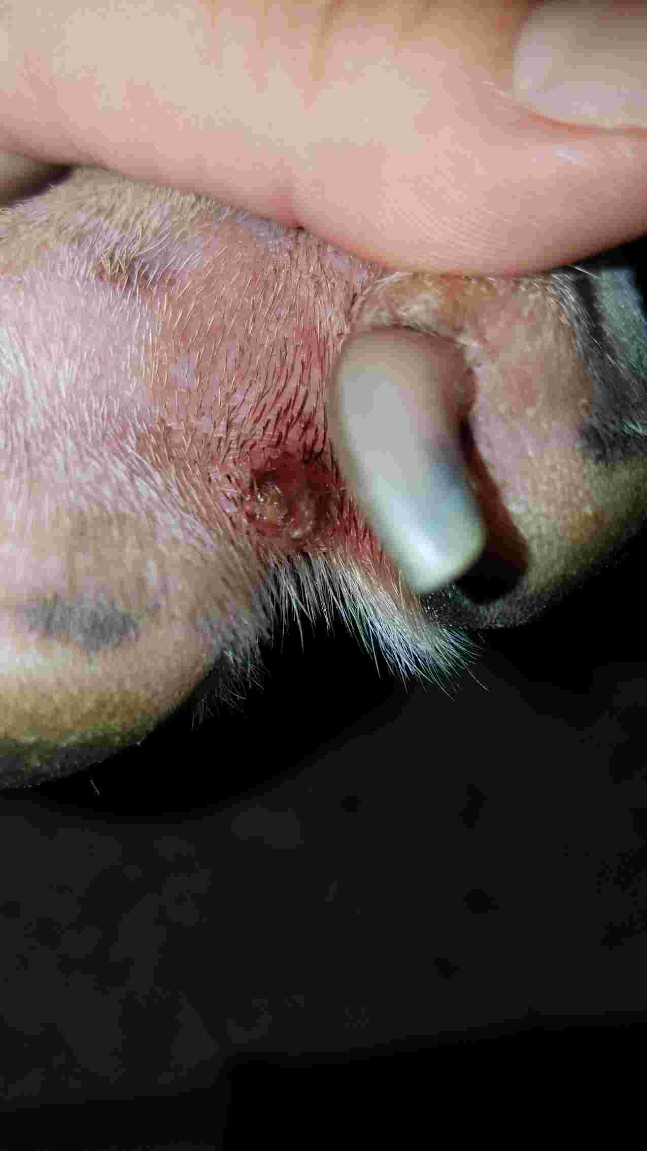 Question details sensitive content