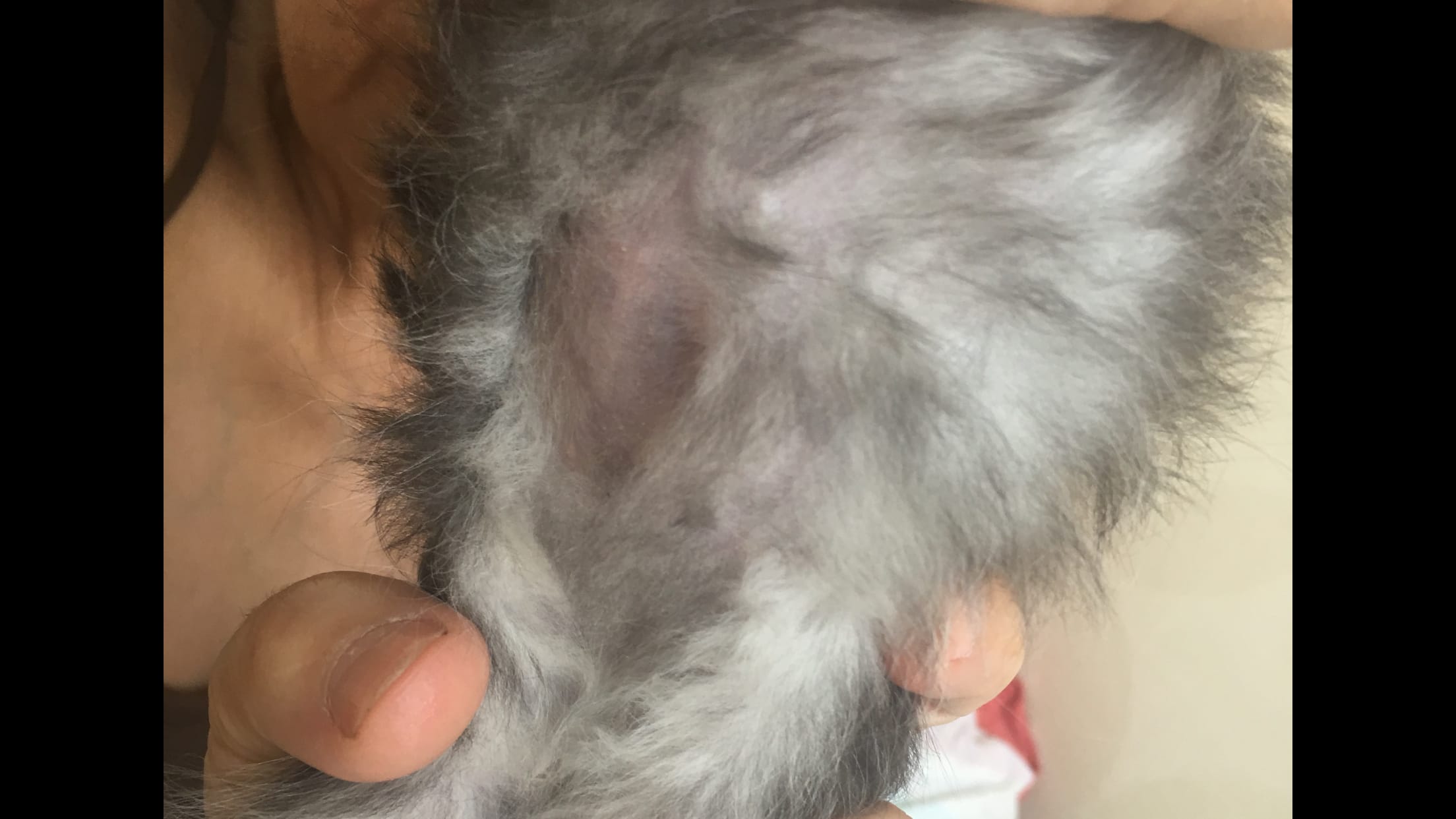 Question details sensitive content