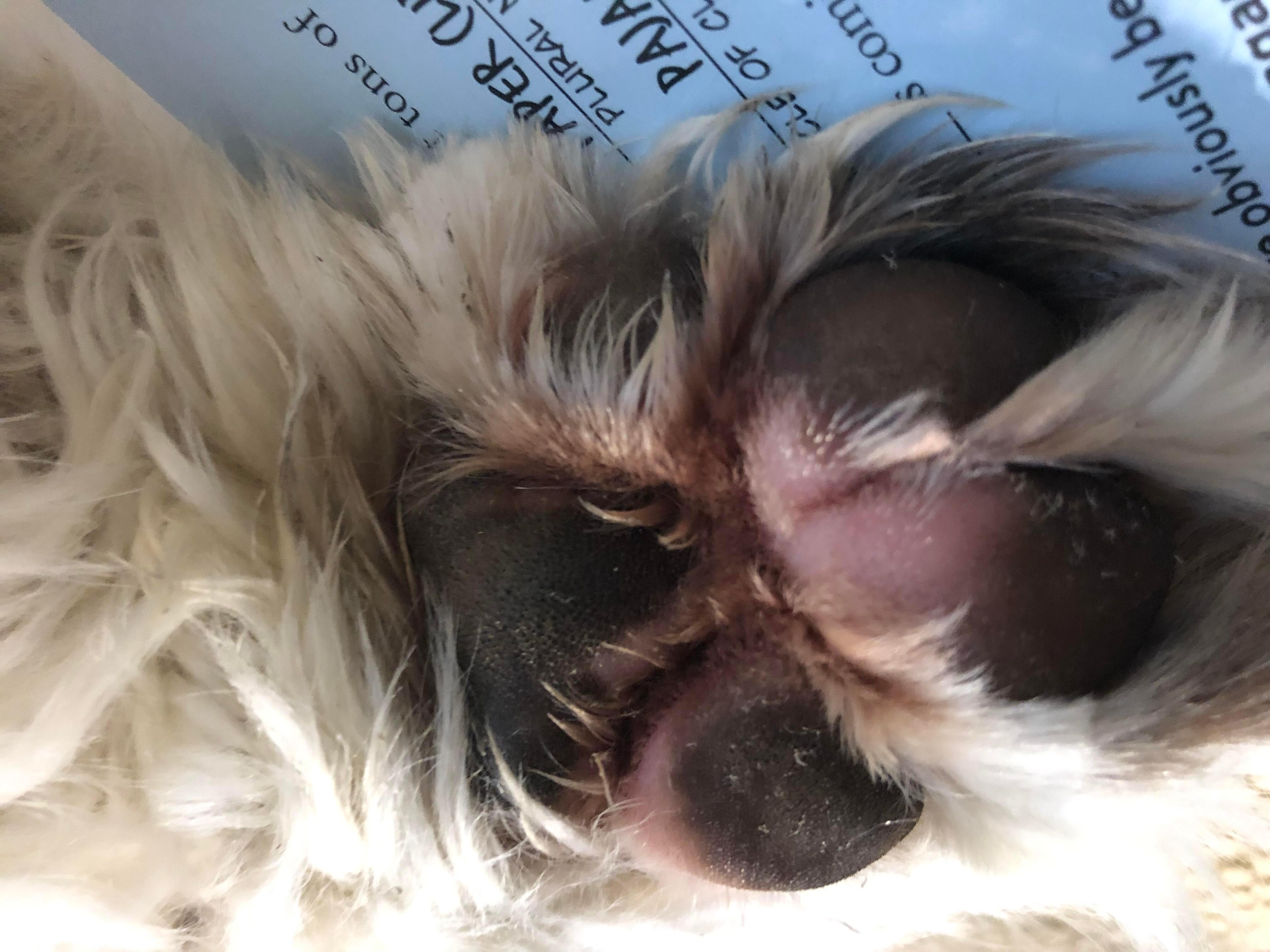 Question details sensitive content