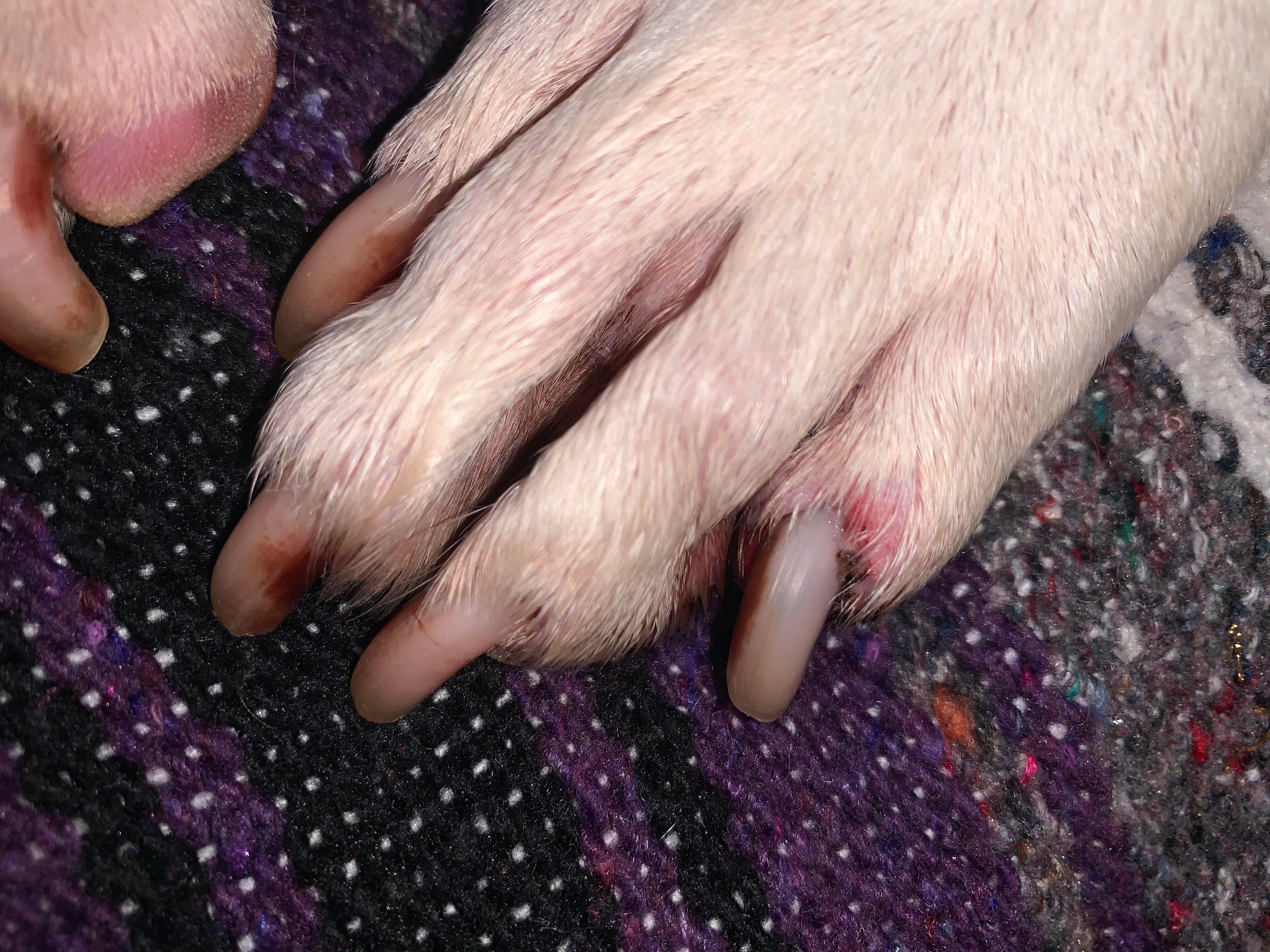 Question details sensitive content