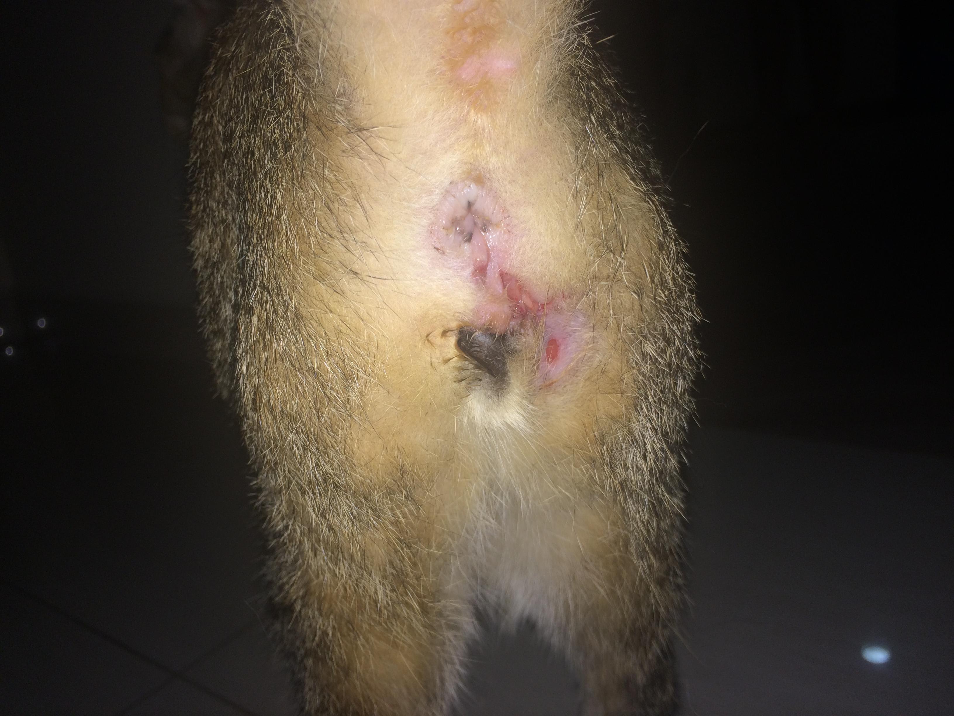 Question details sensitive content