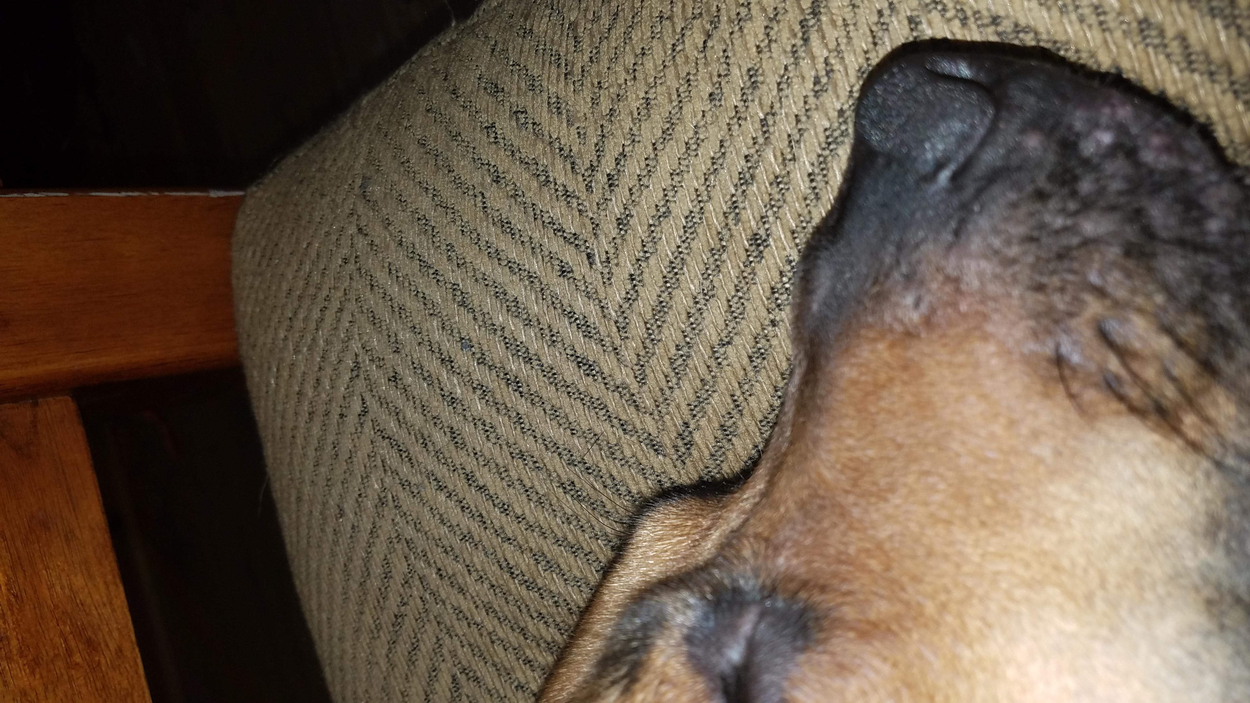 Question details sensitive content