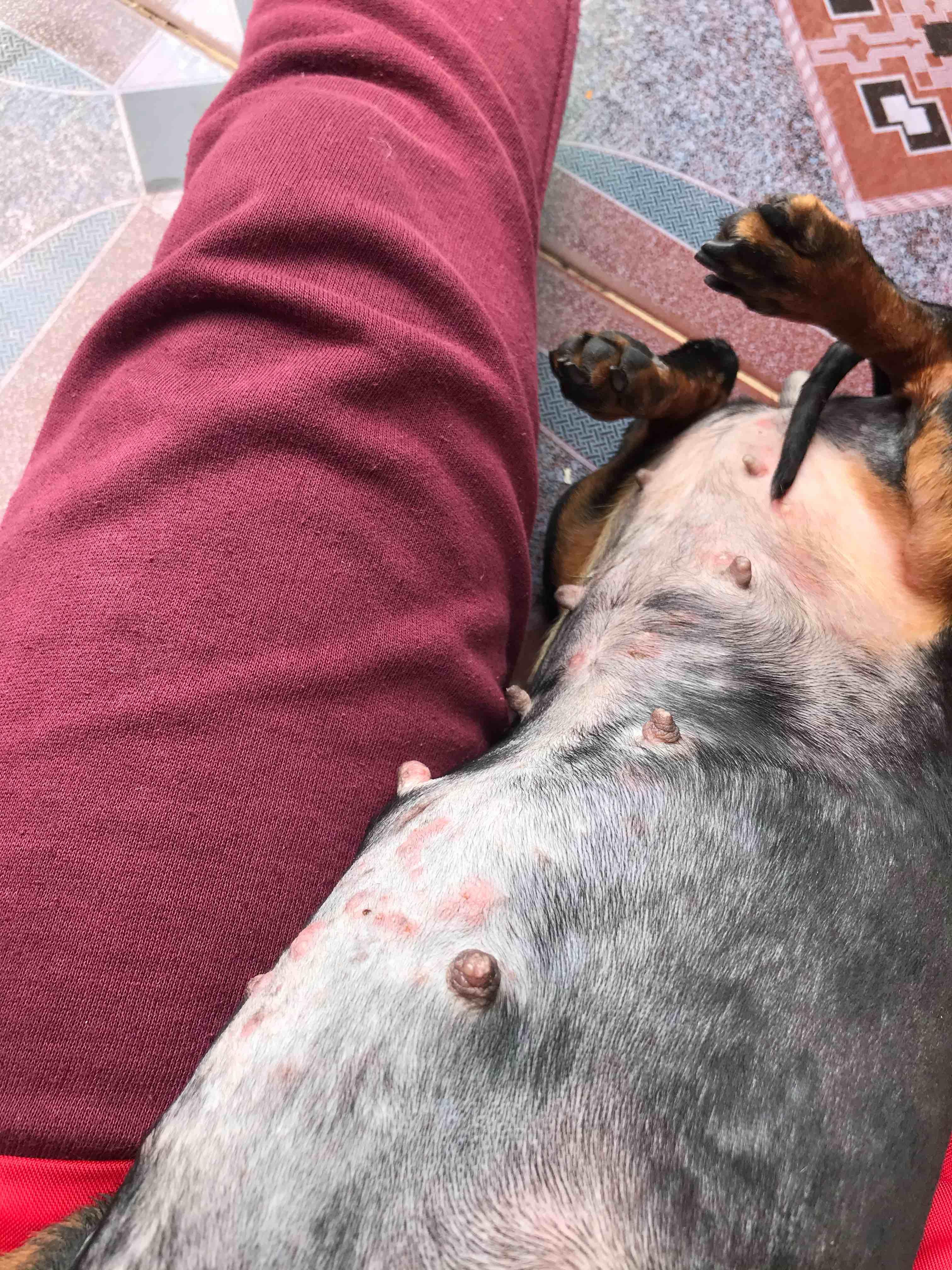 Question details sensitive content