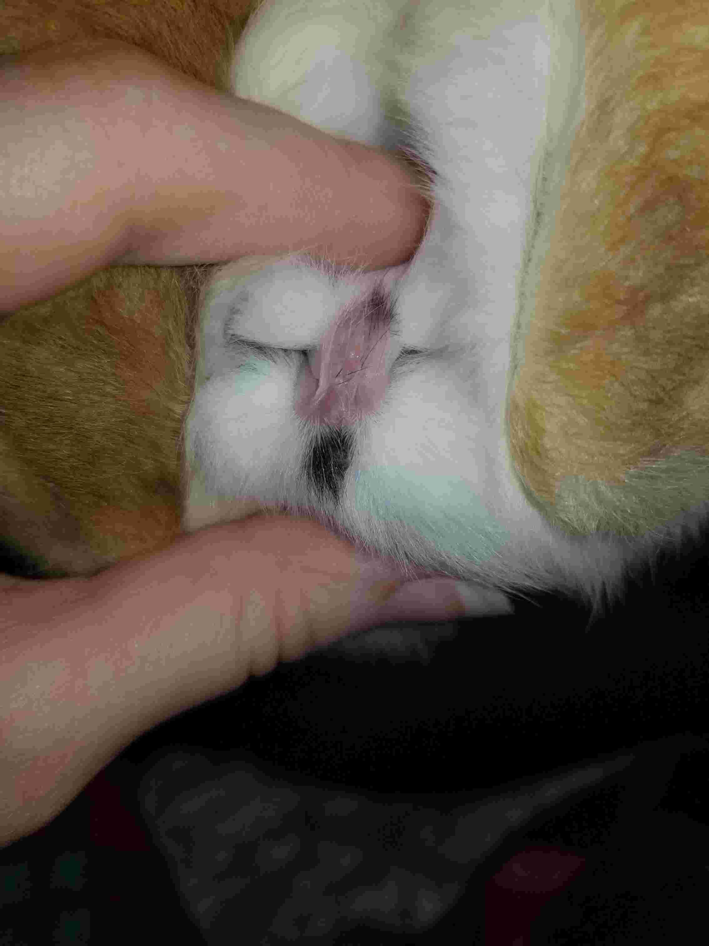 Question details sensitive content