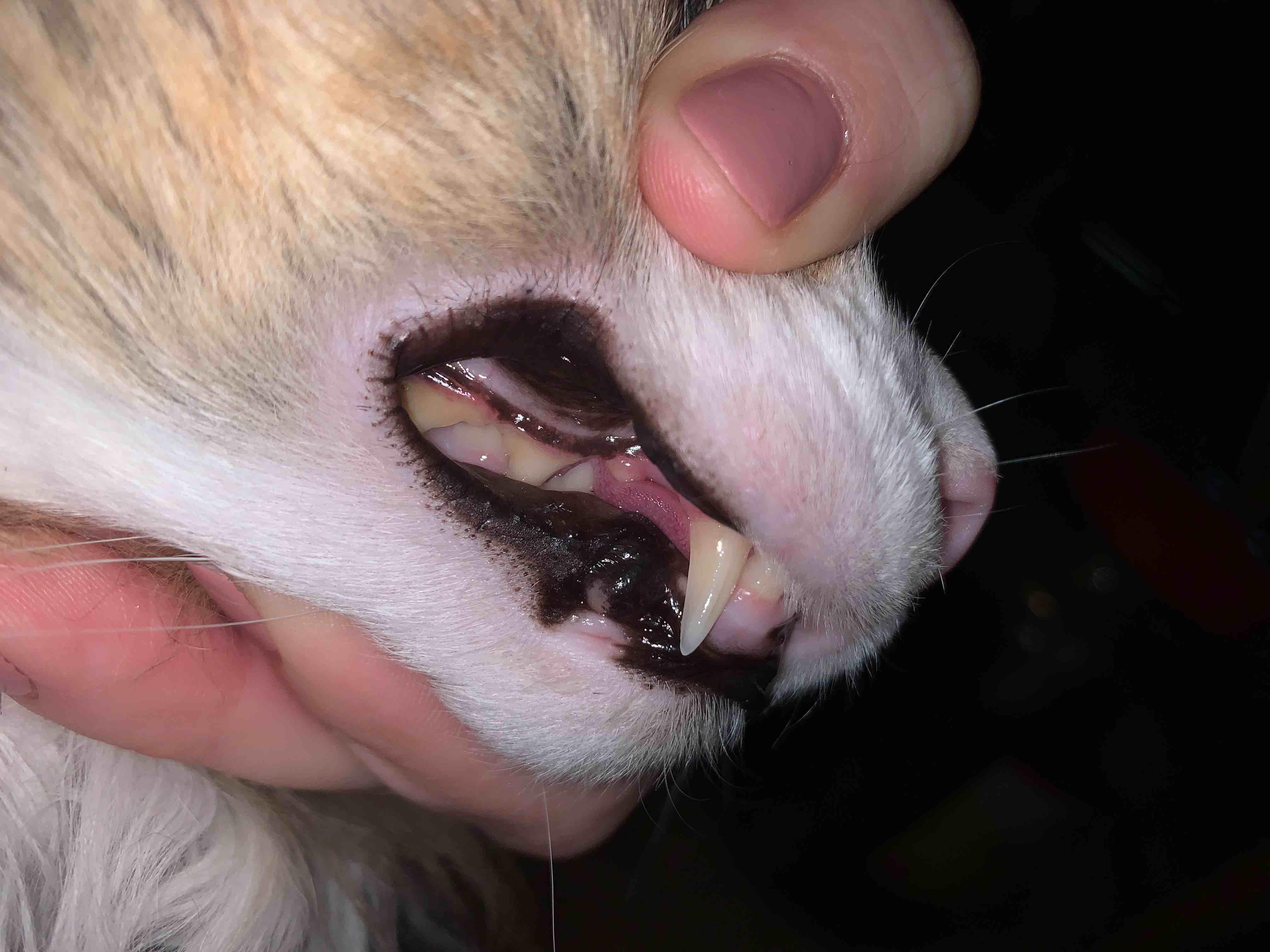 Question details sensitive content