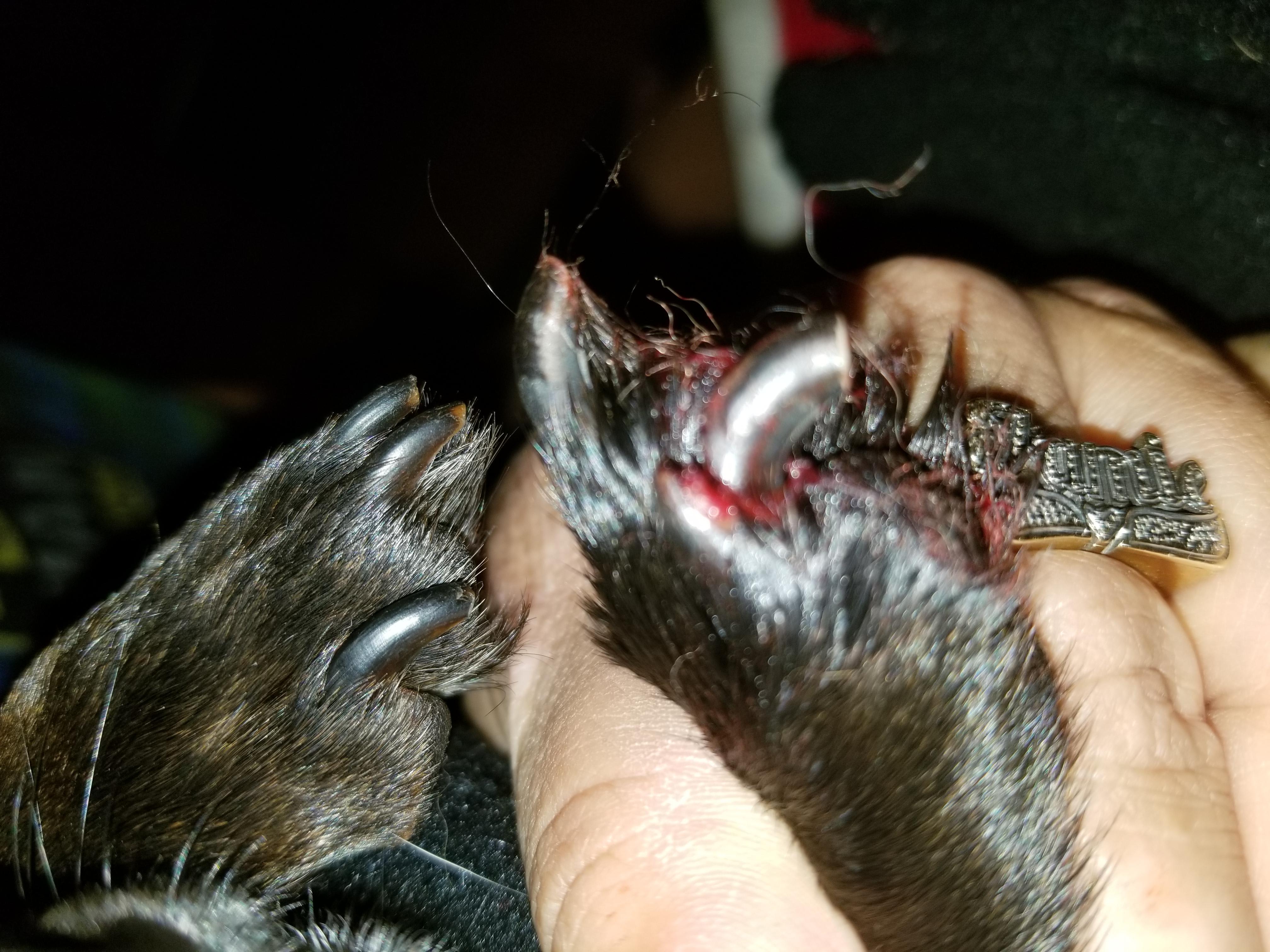 Question details sensitive content