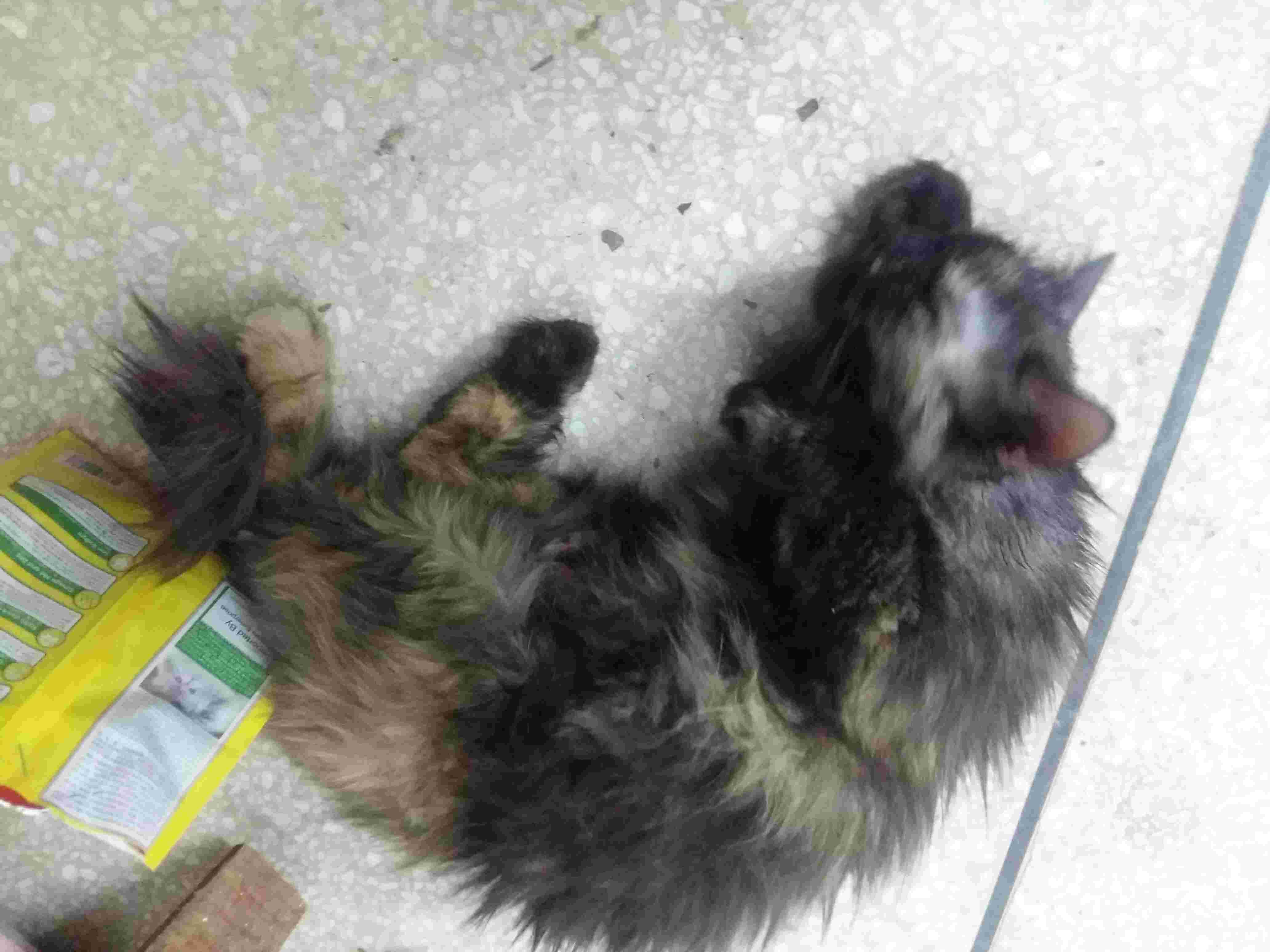 Question details sensitive content