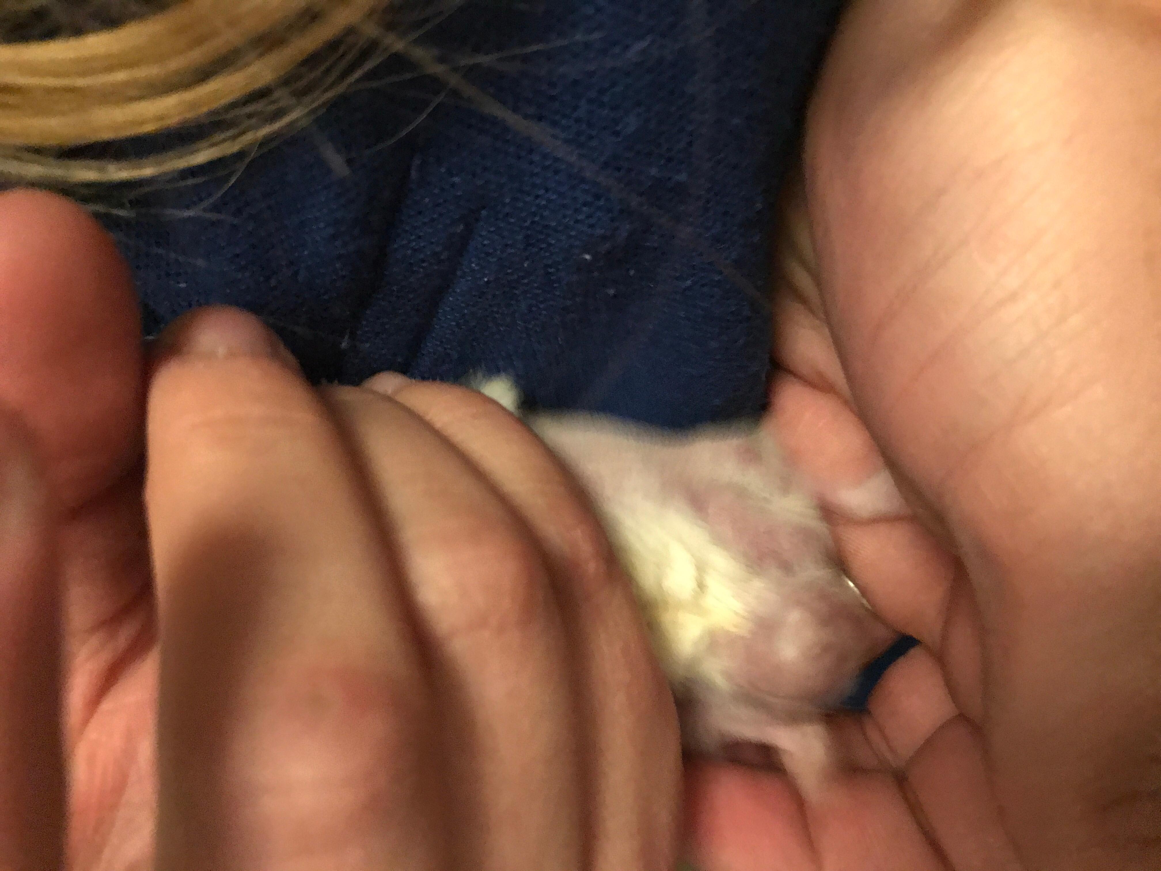 Question details sensitive content