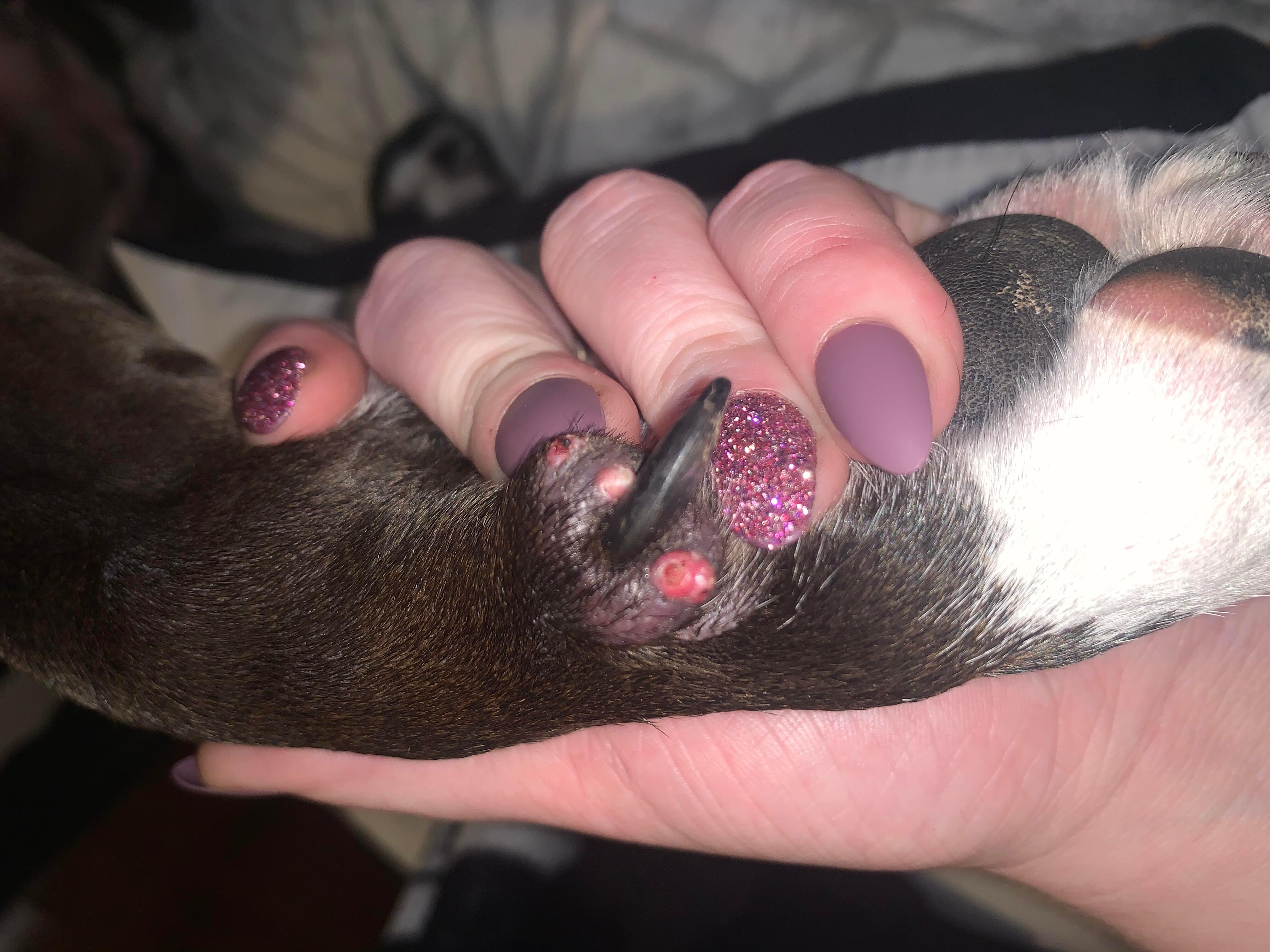 Question details sensitive content