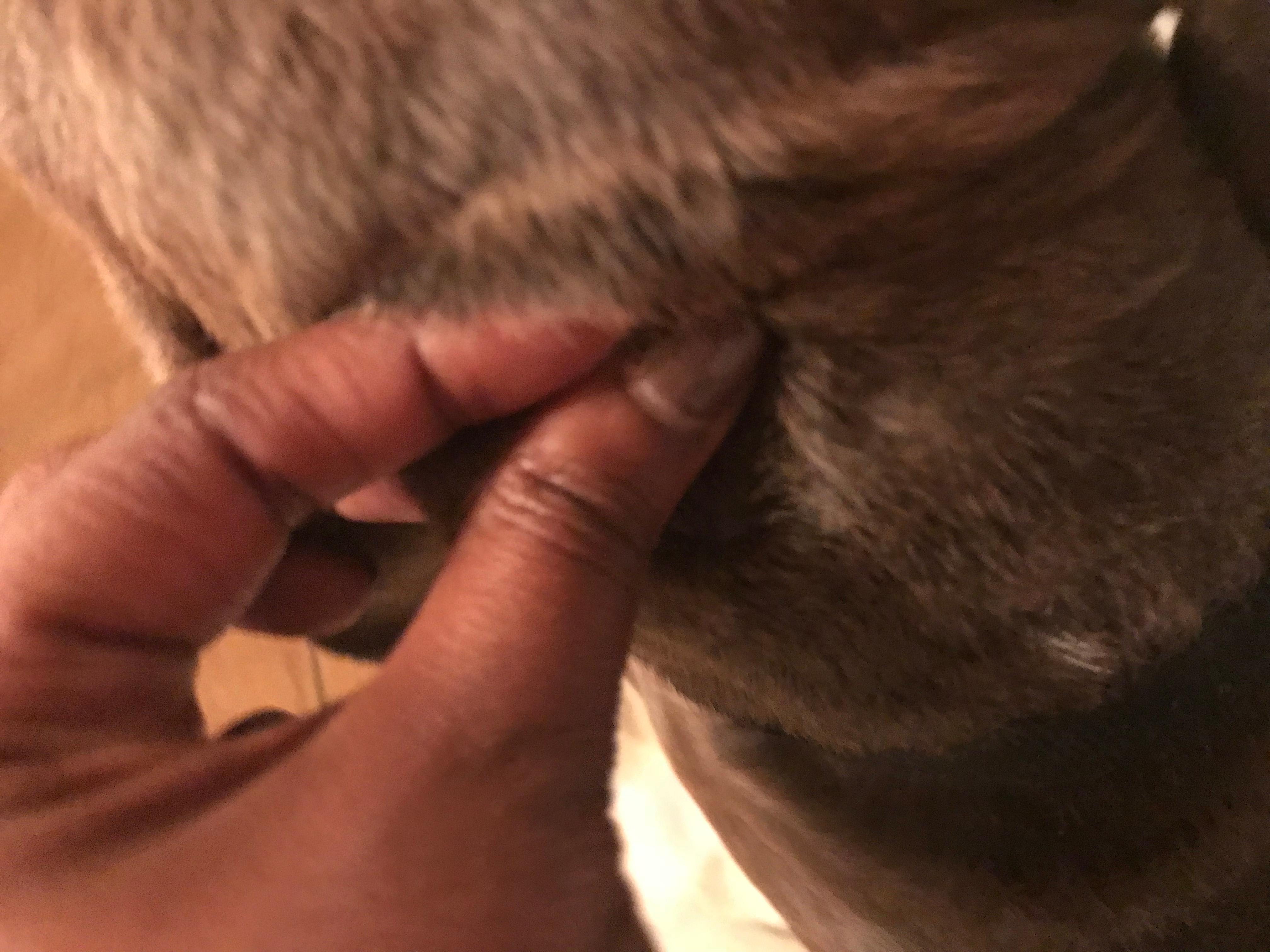 Question details sensitive content