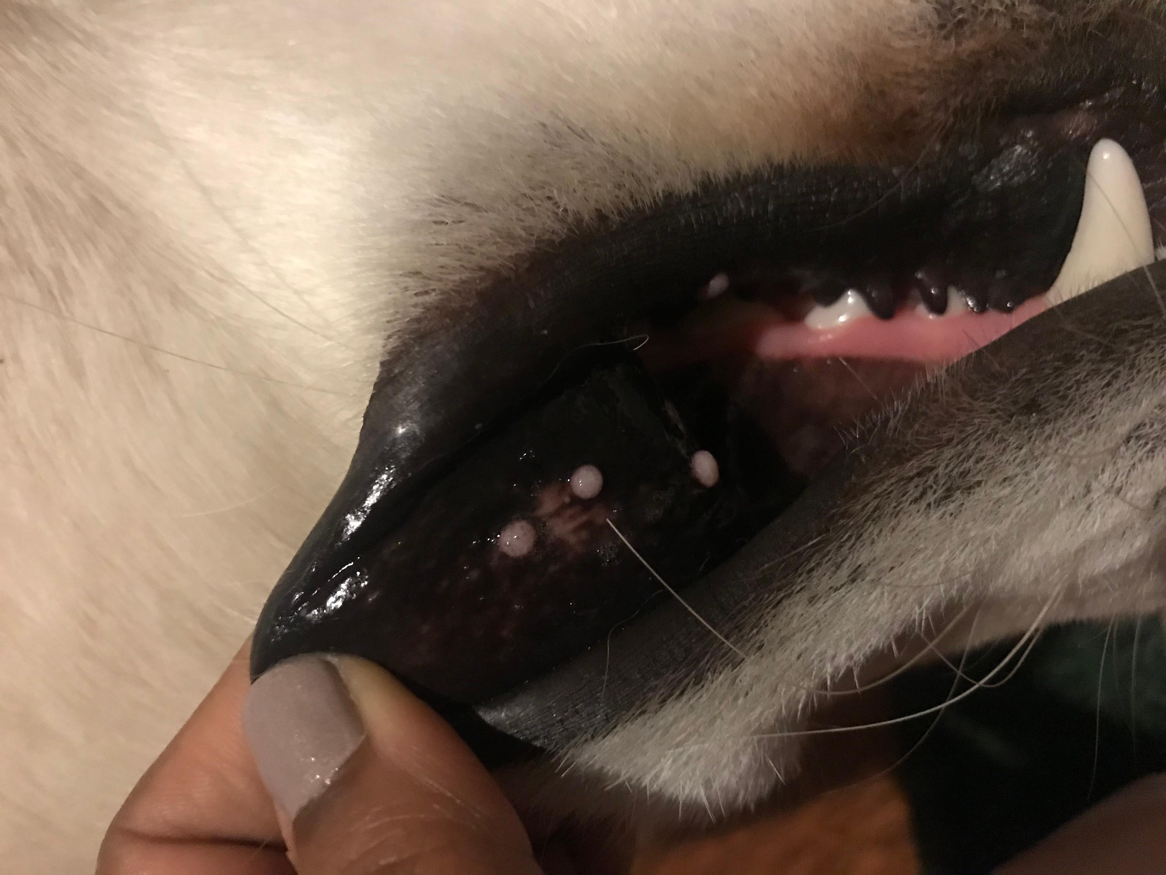 Question details sensitive content