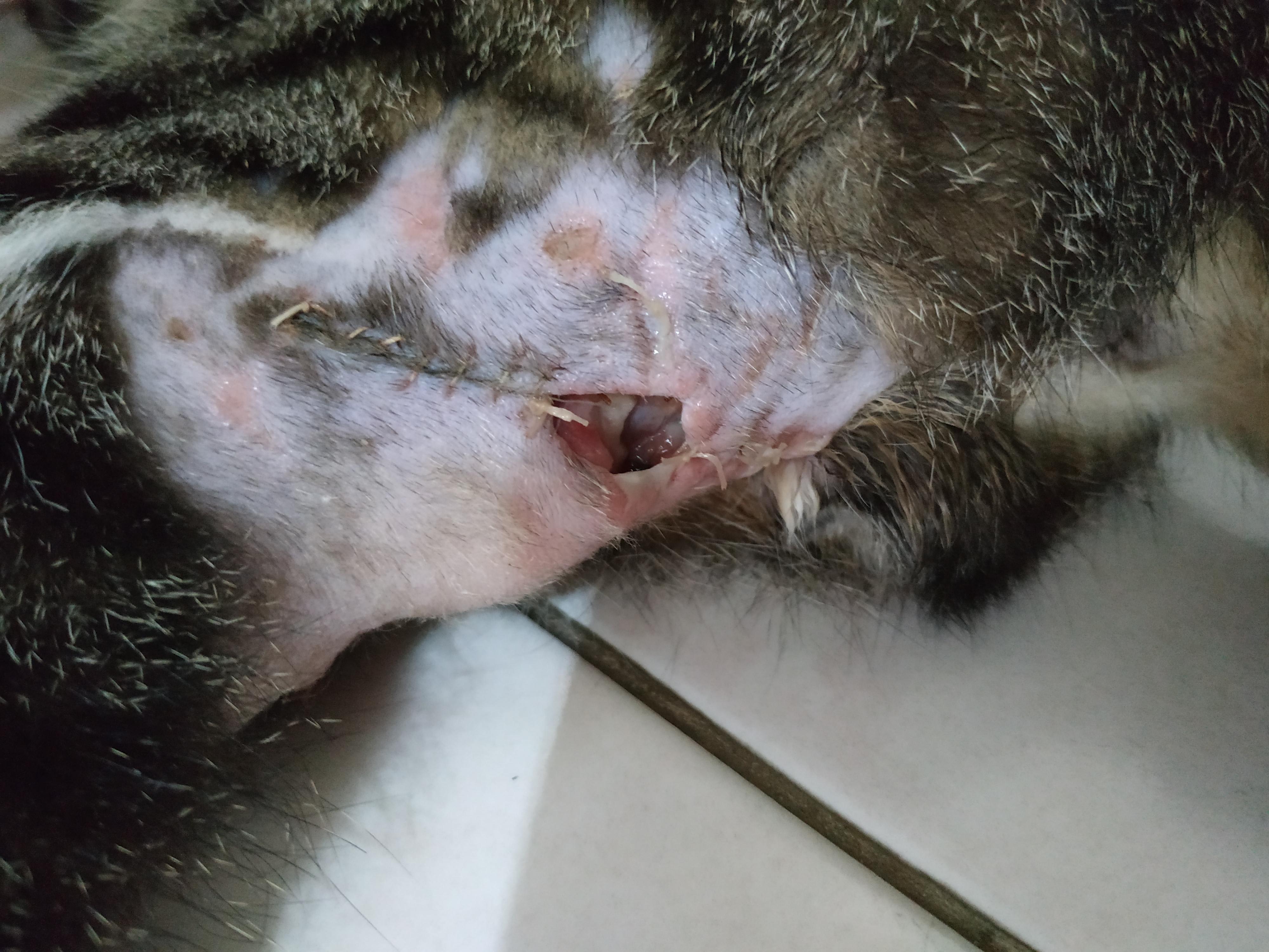 Question details sensitive content