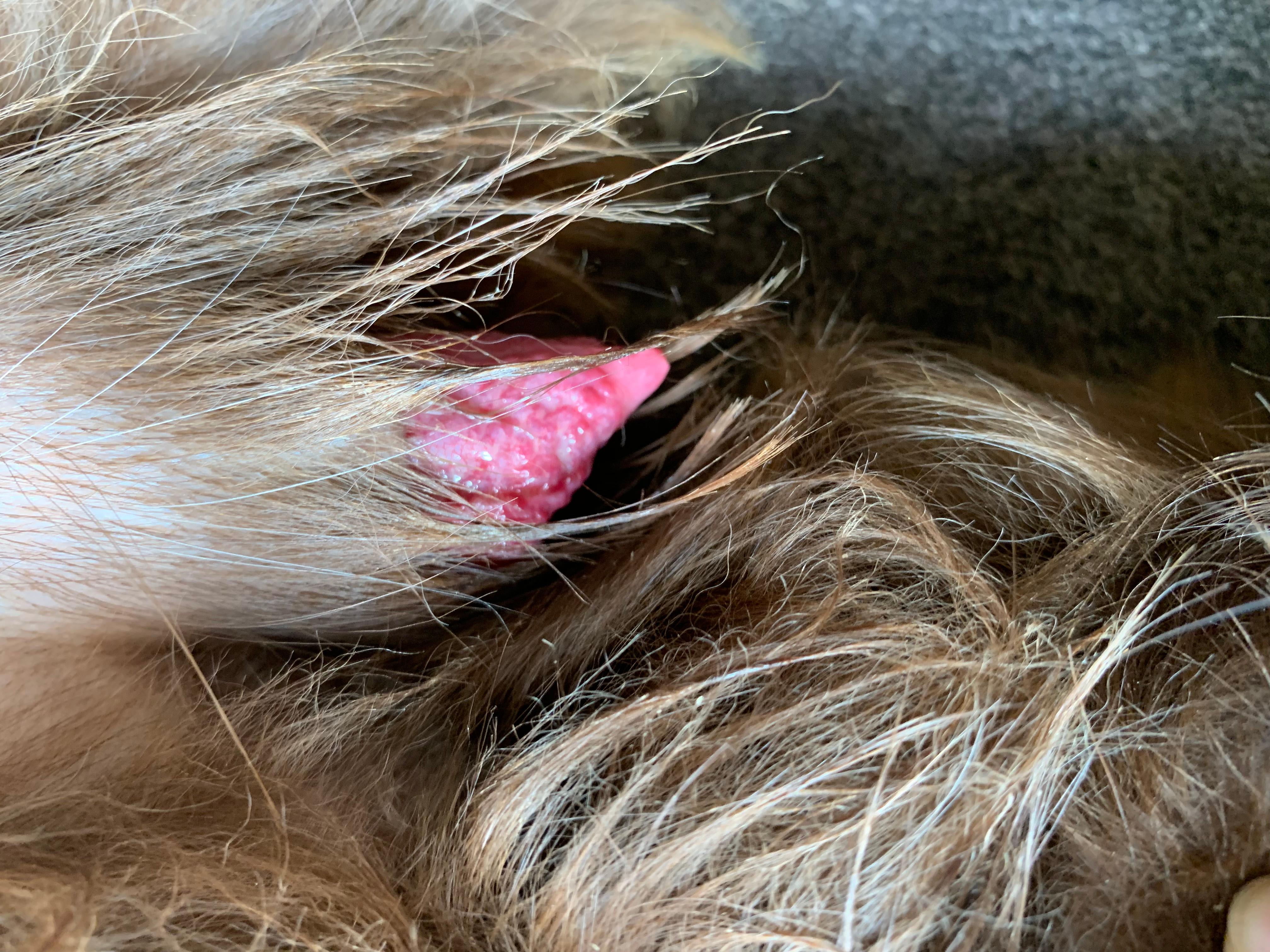 Question details sensitive content