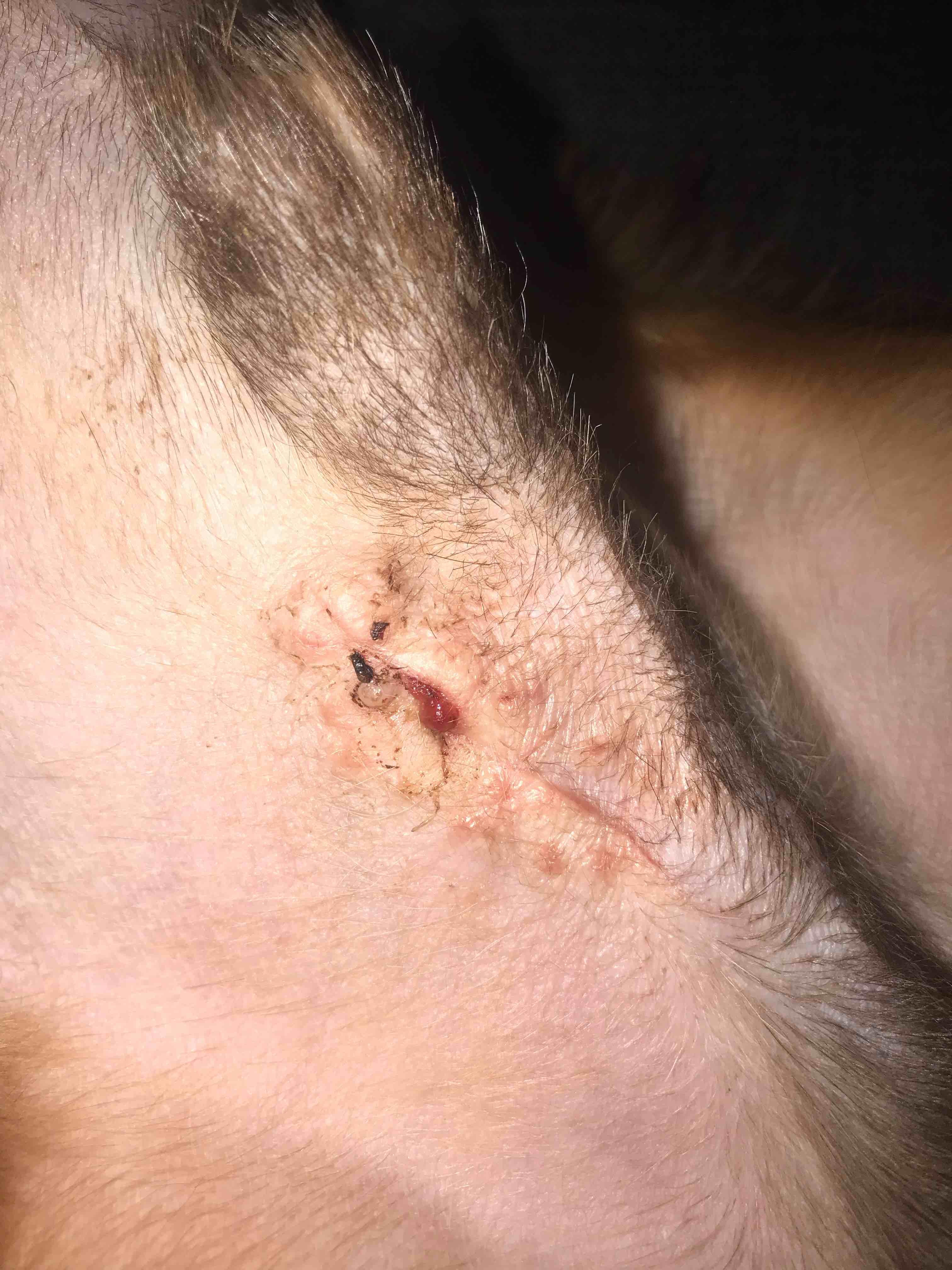 Question details sensitive content