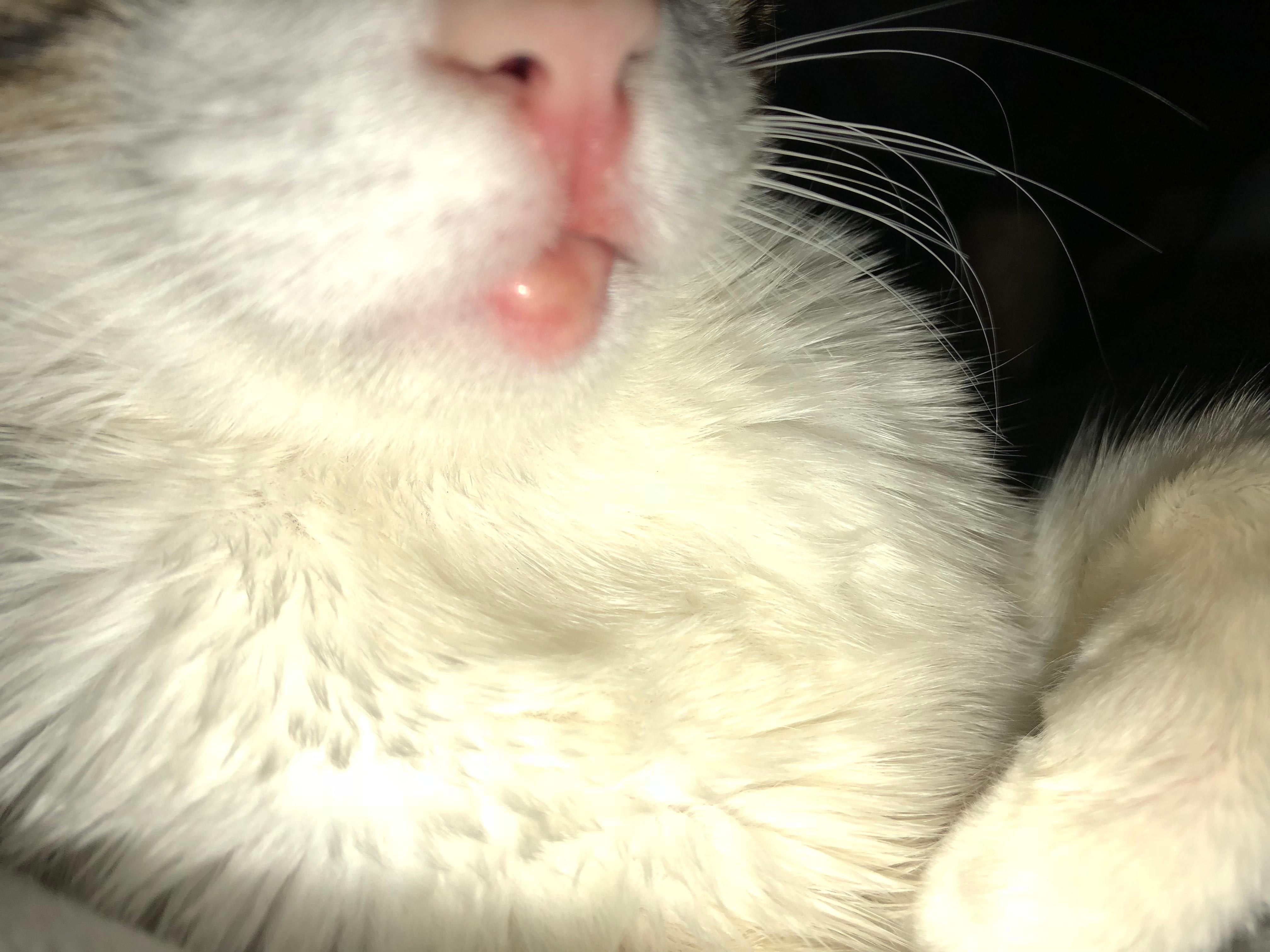 Question details sensitive content