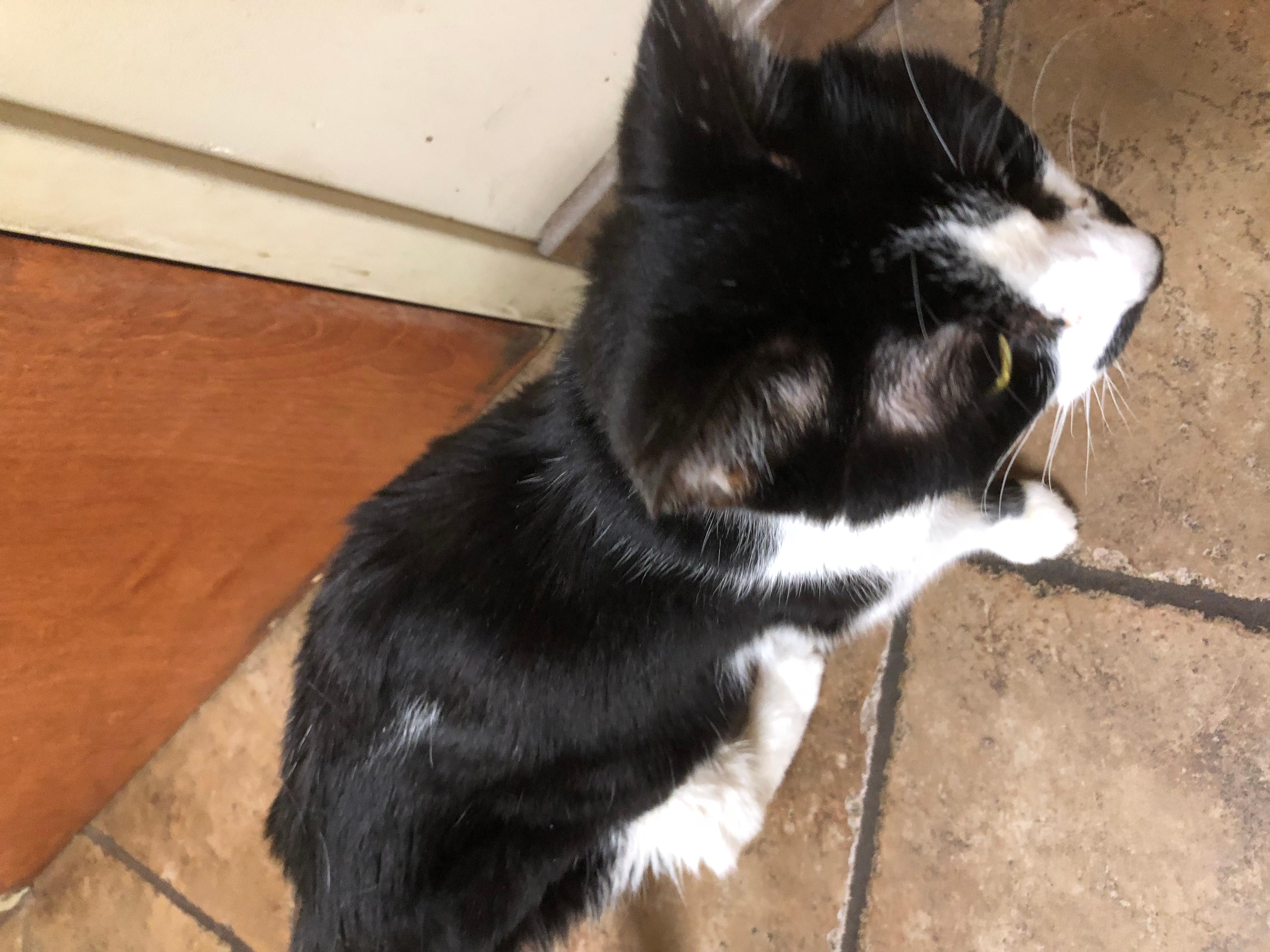 Question details sensitive content