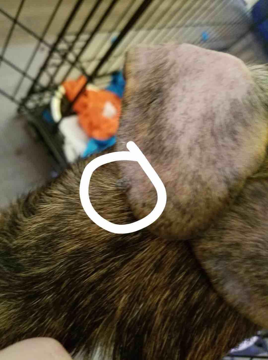 Question details sensitive content