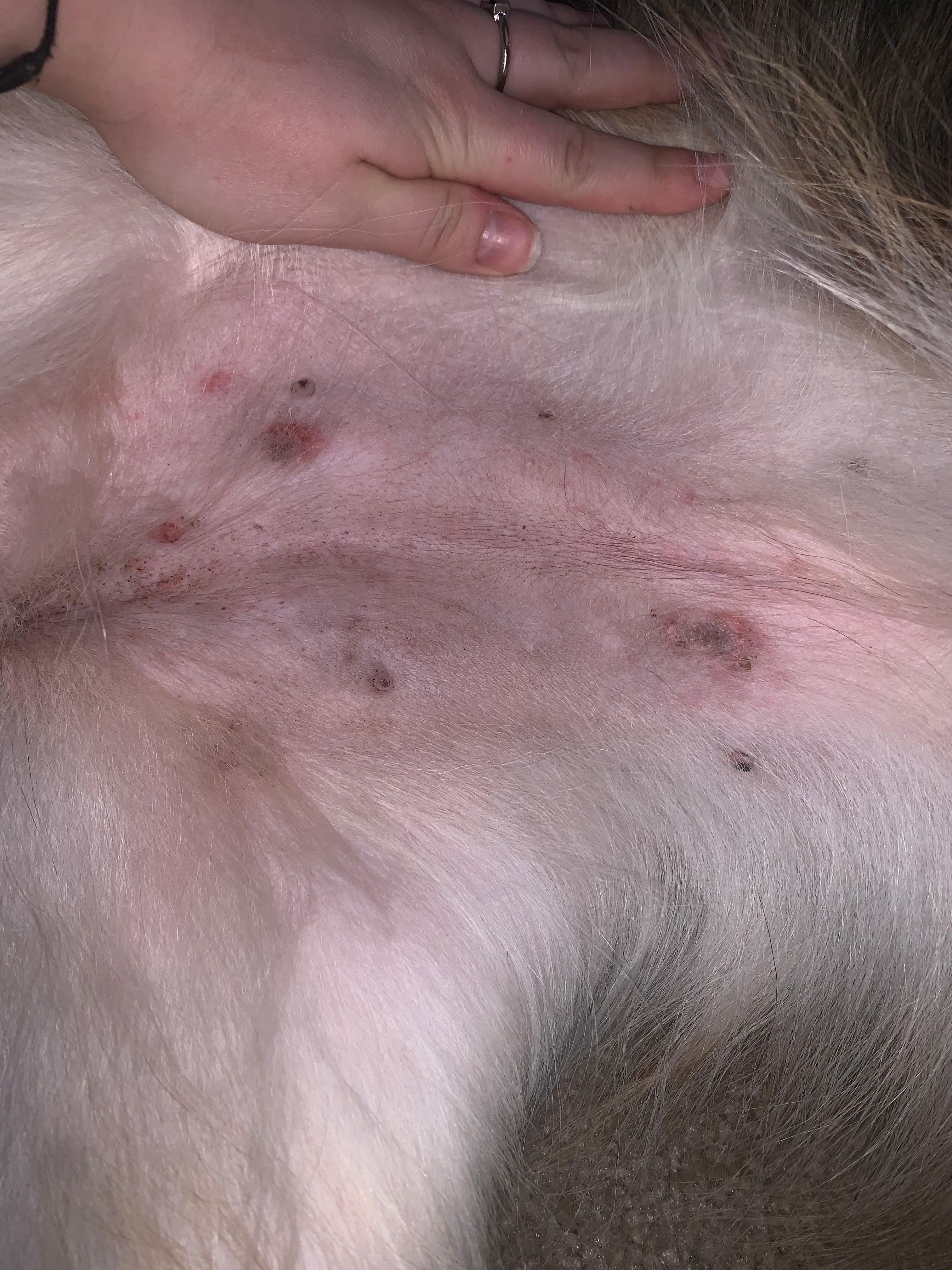 Question details sensitive content