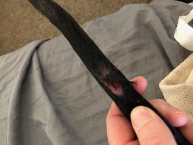 Question details sensitive content