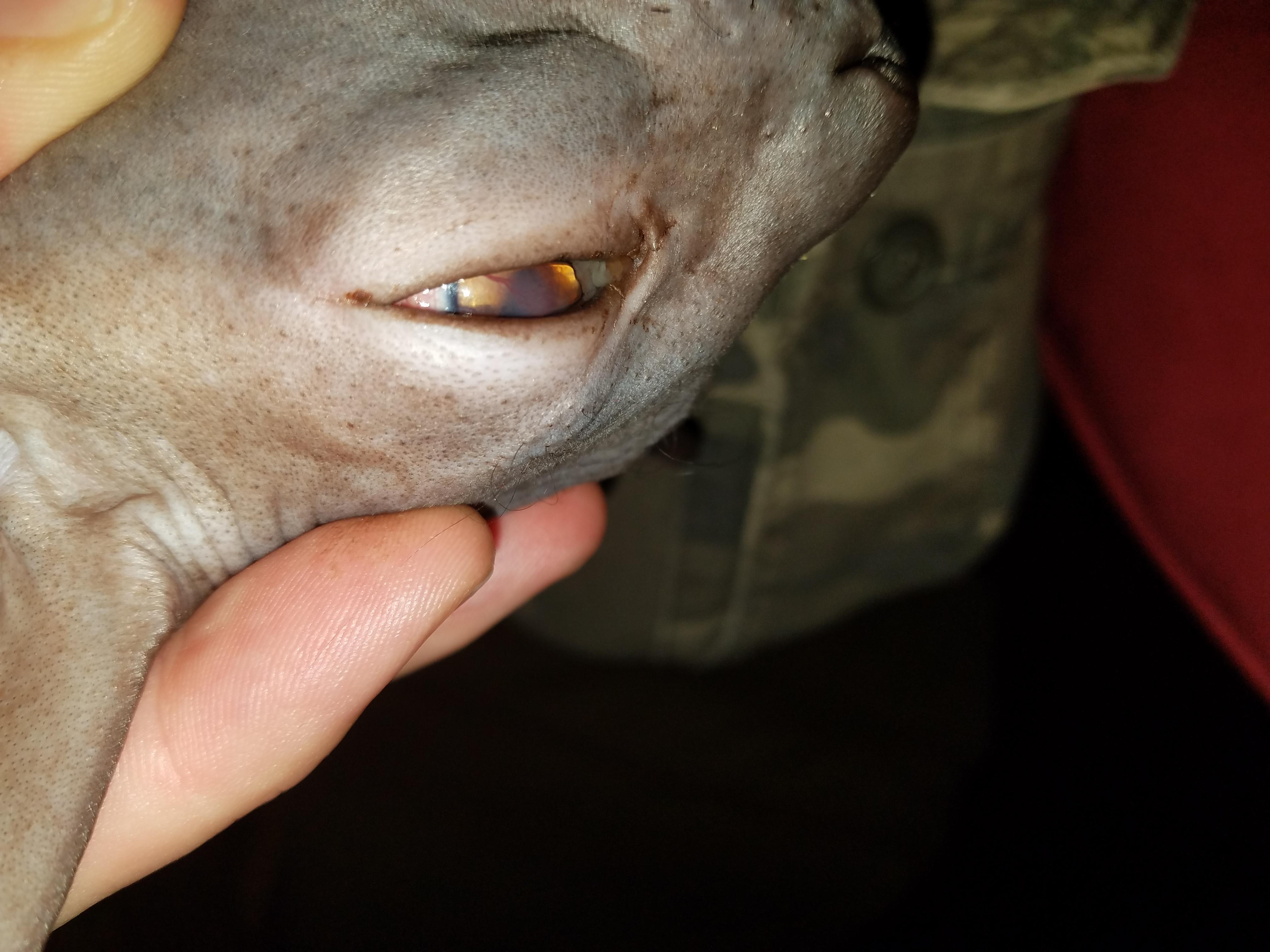 Question details sensitive content