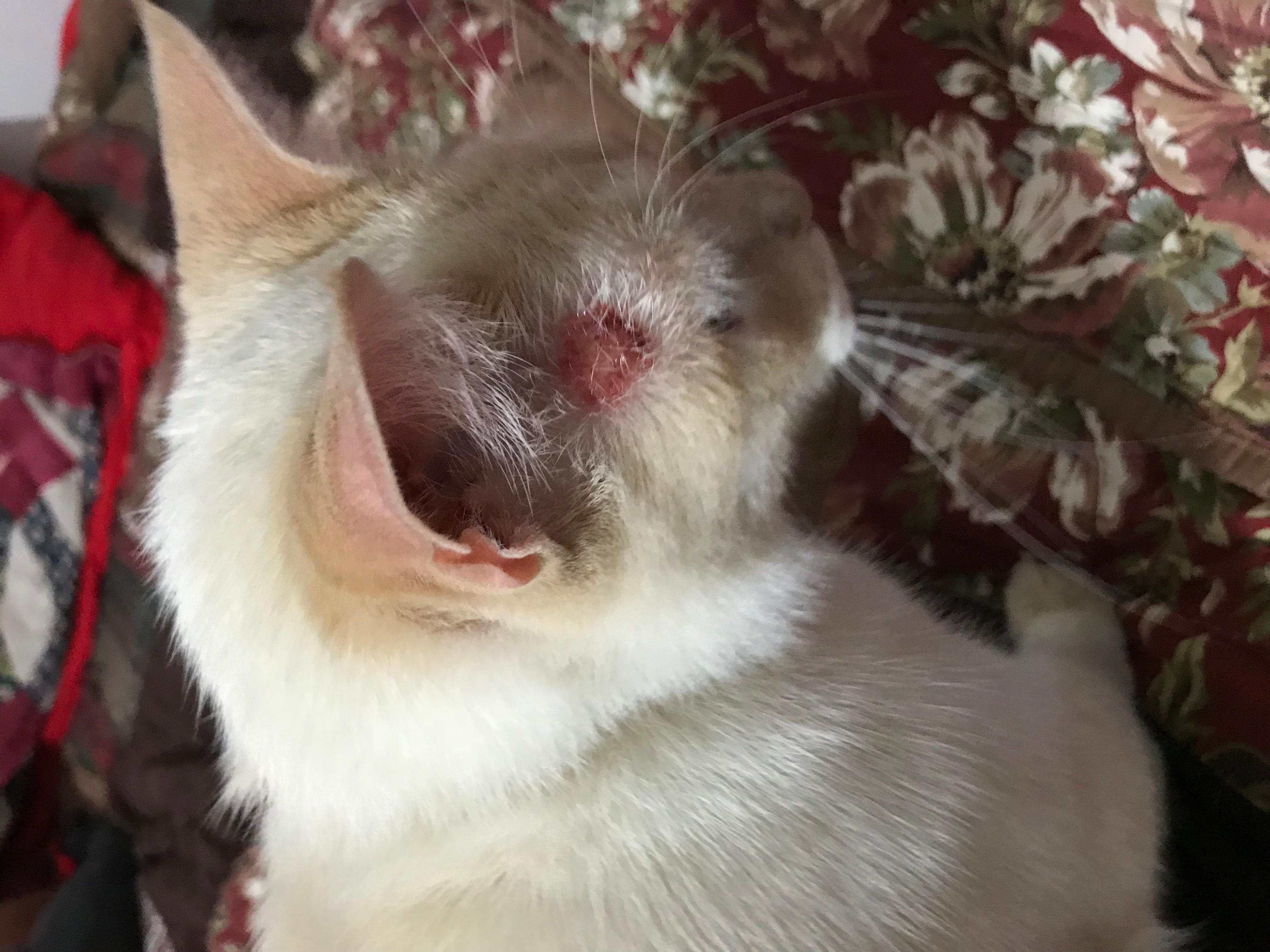 Question details sensitive content