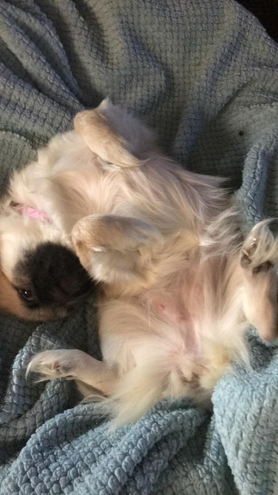 Question details sensitive content