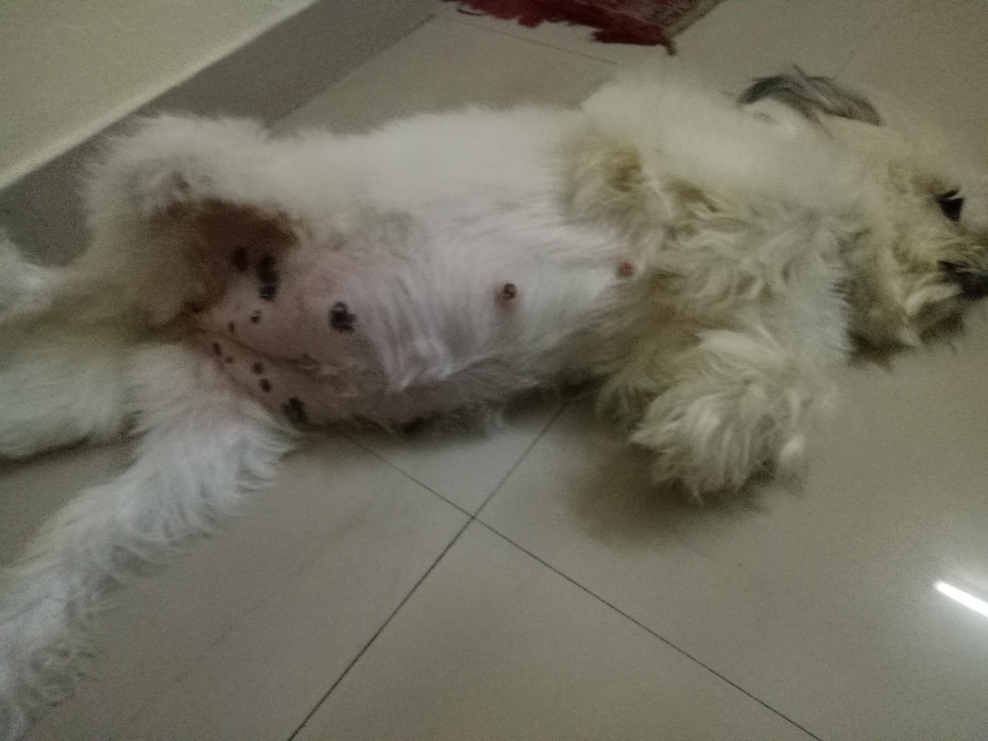 Question details sensitive content