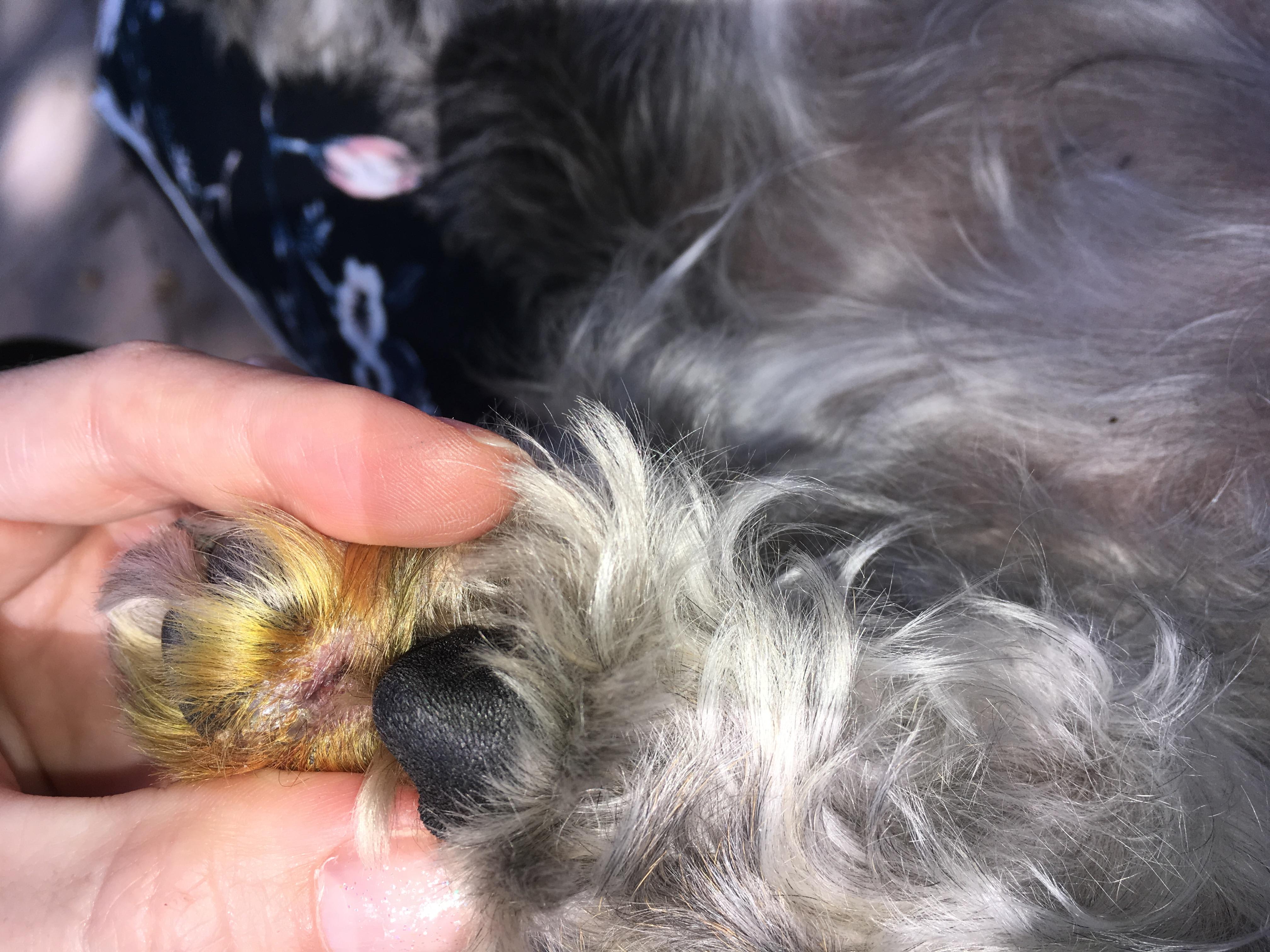 Question details sensitive content