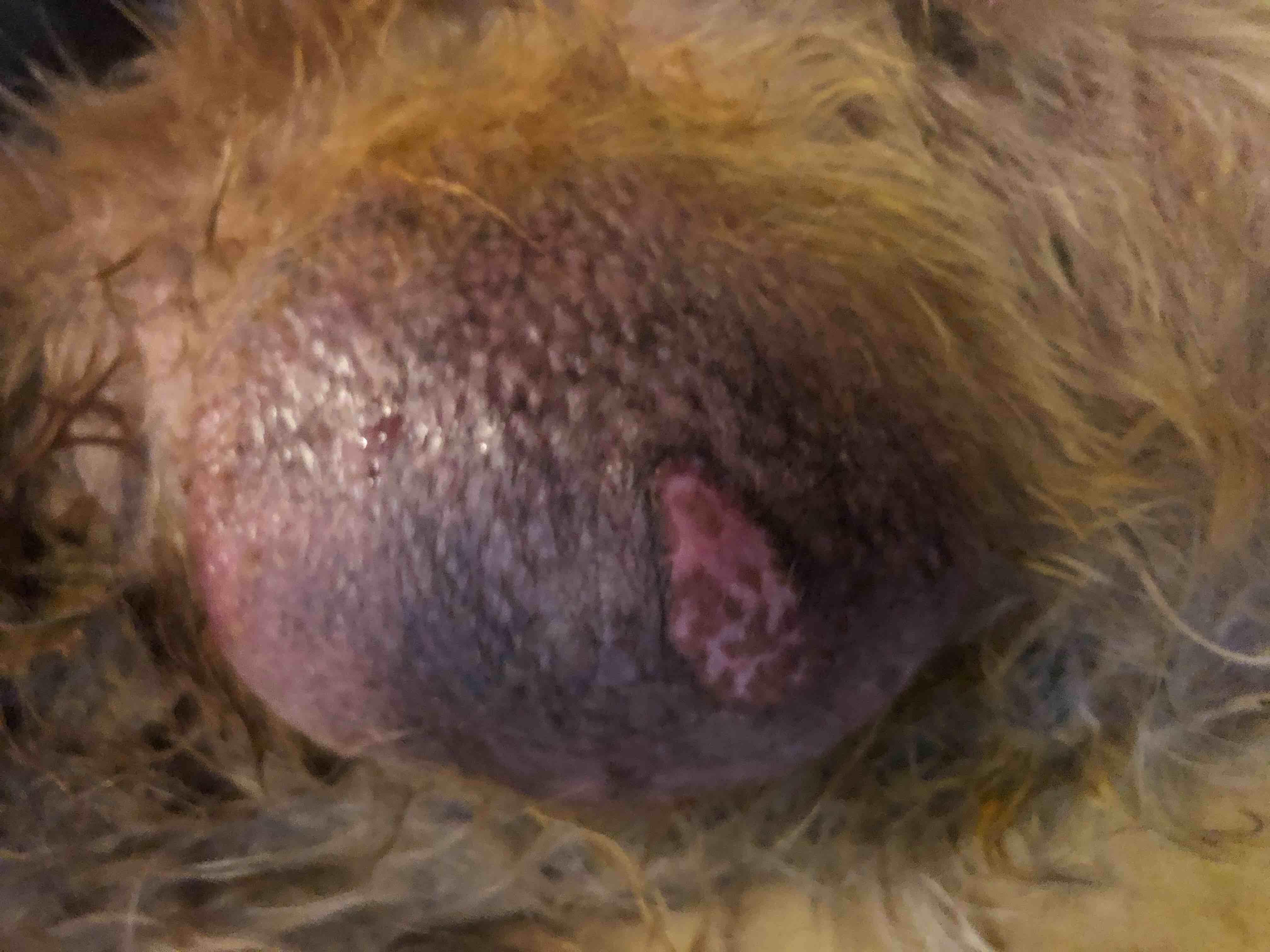 Question details sensitive content