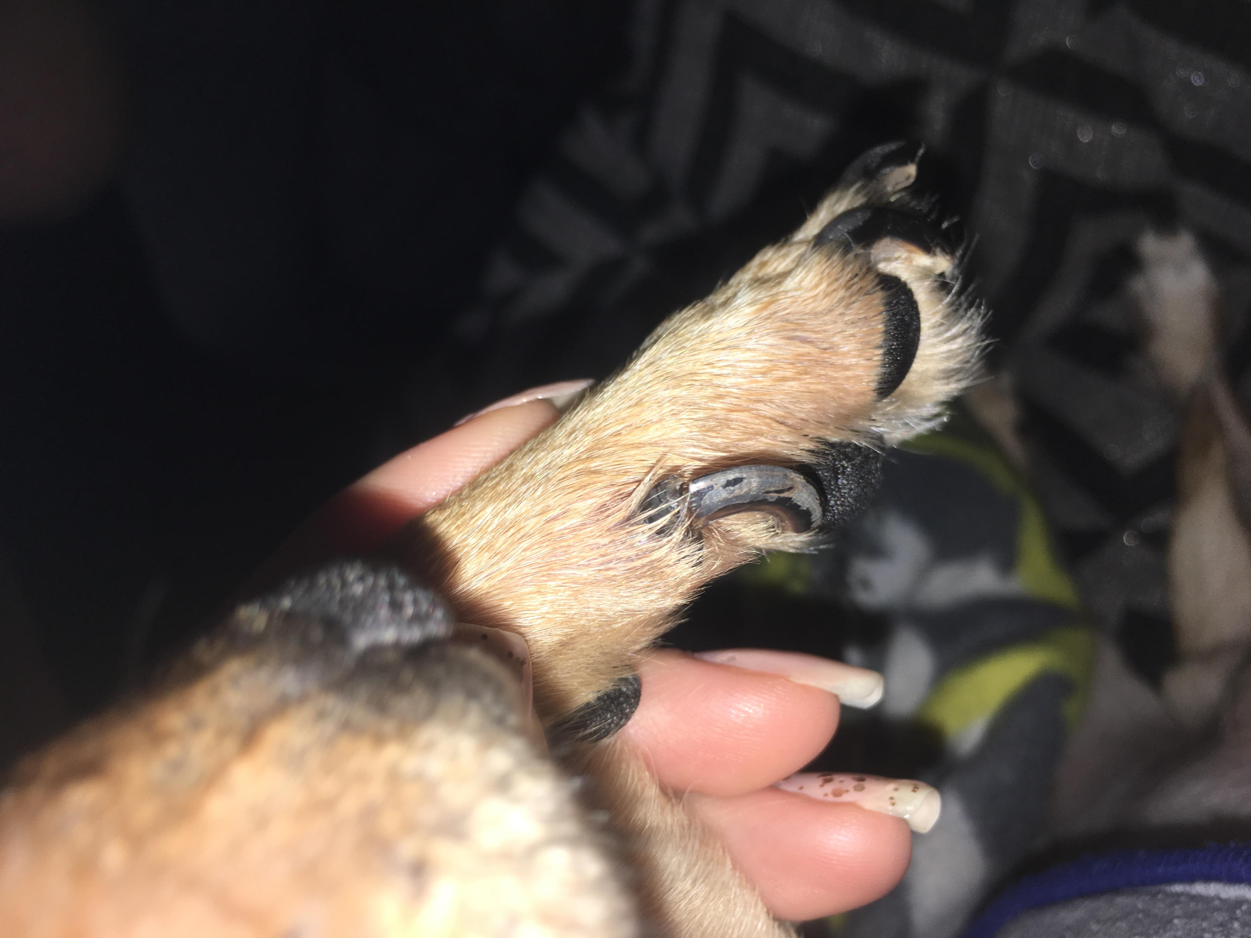 Question details sensitive content