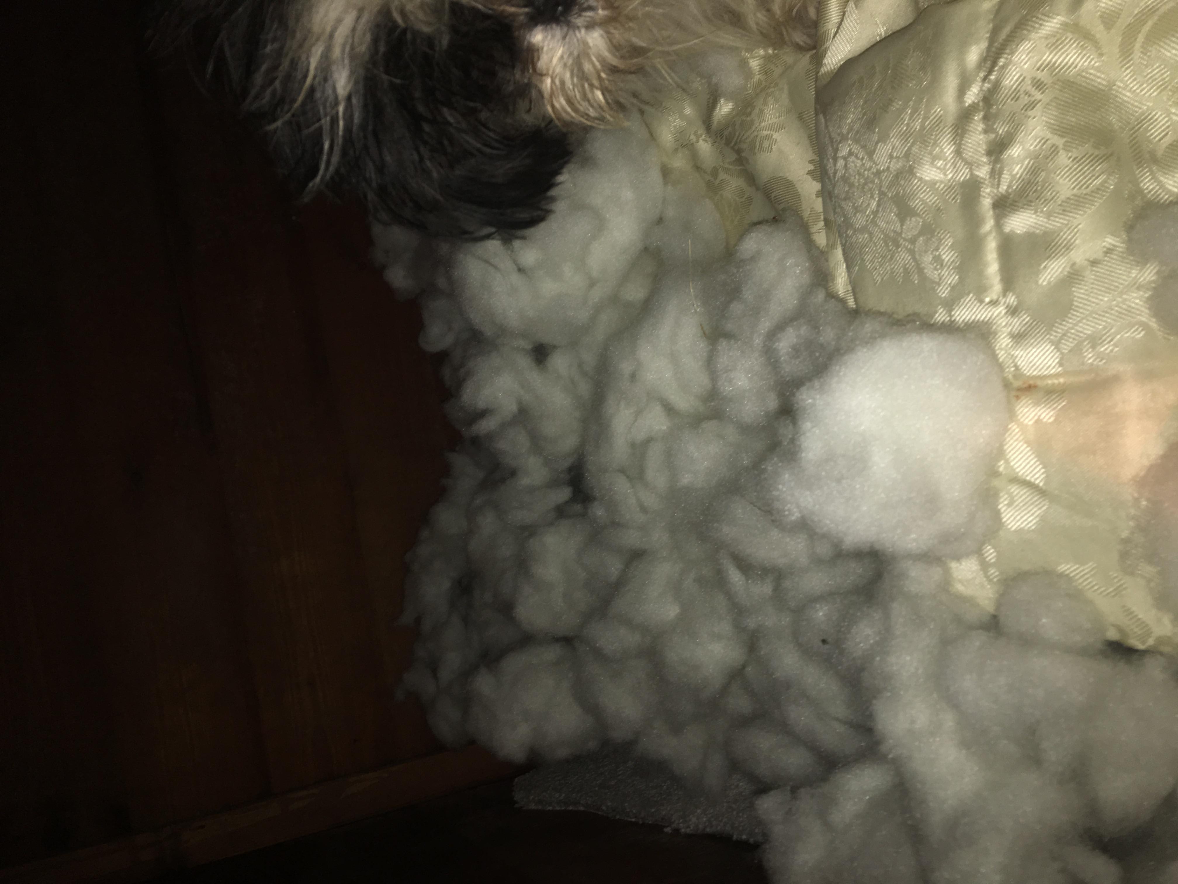 Question details sensitive content