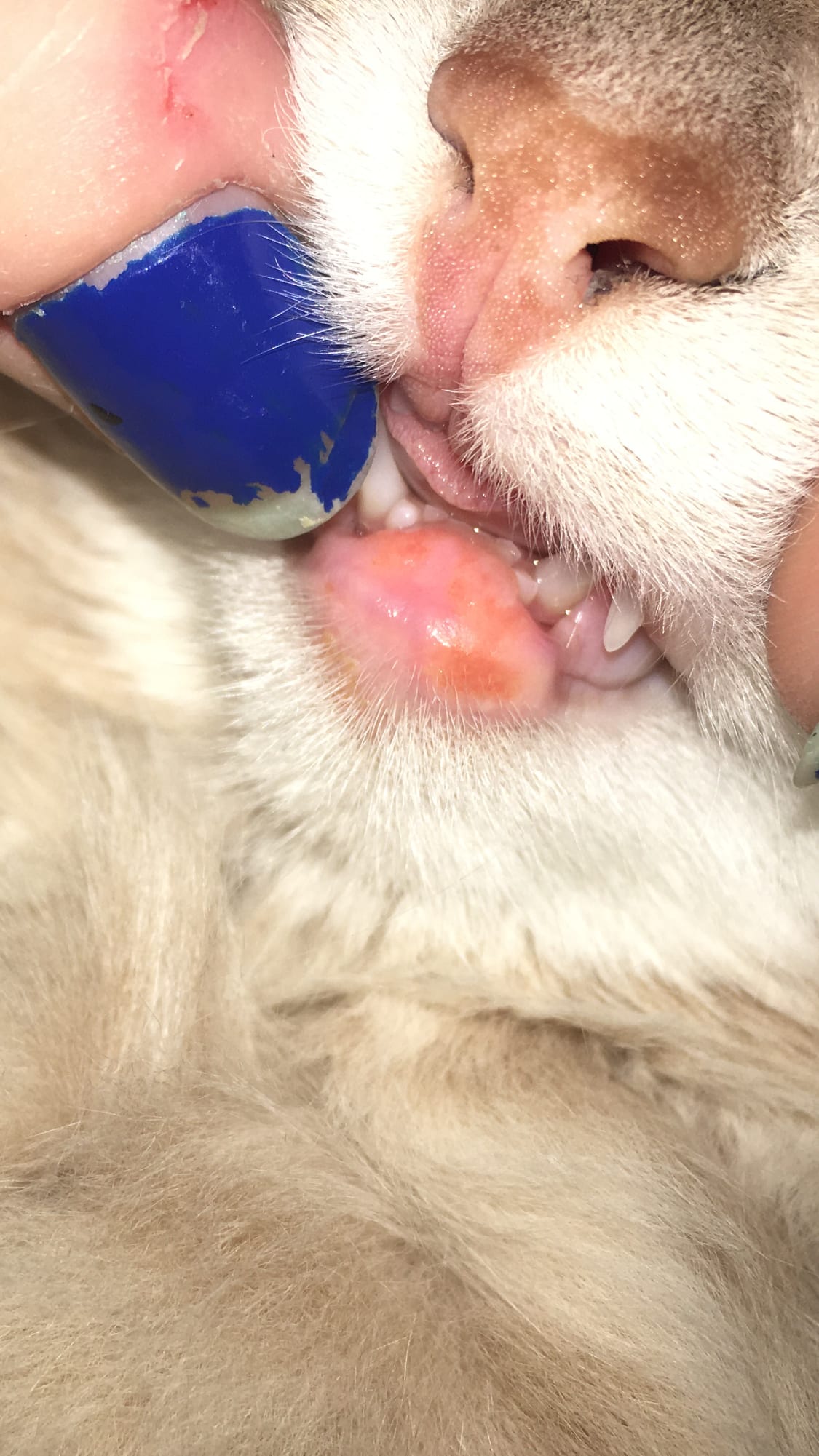 Question details sensitive content