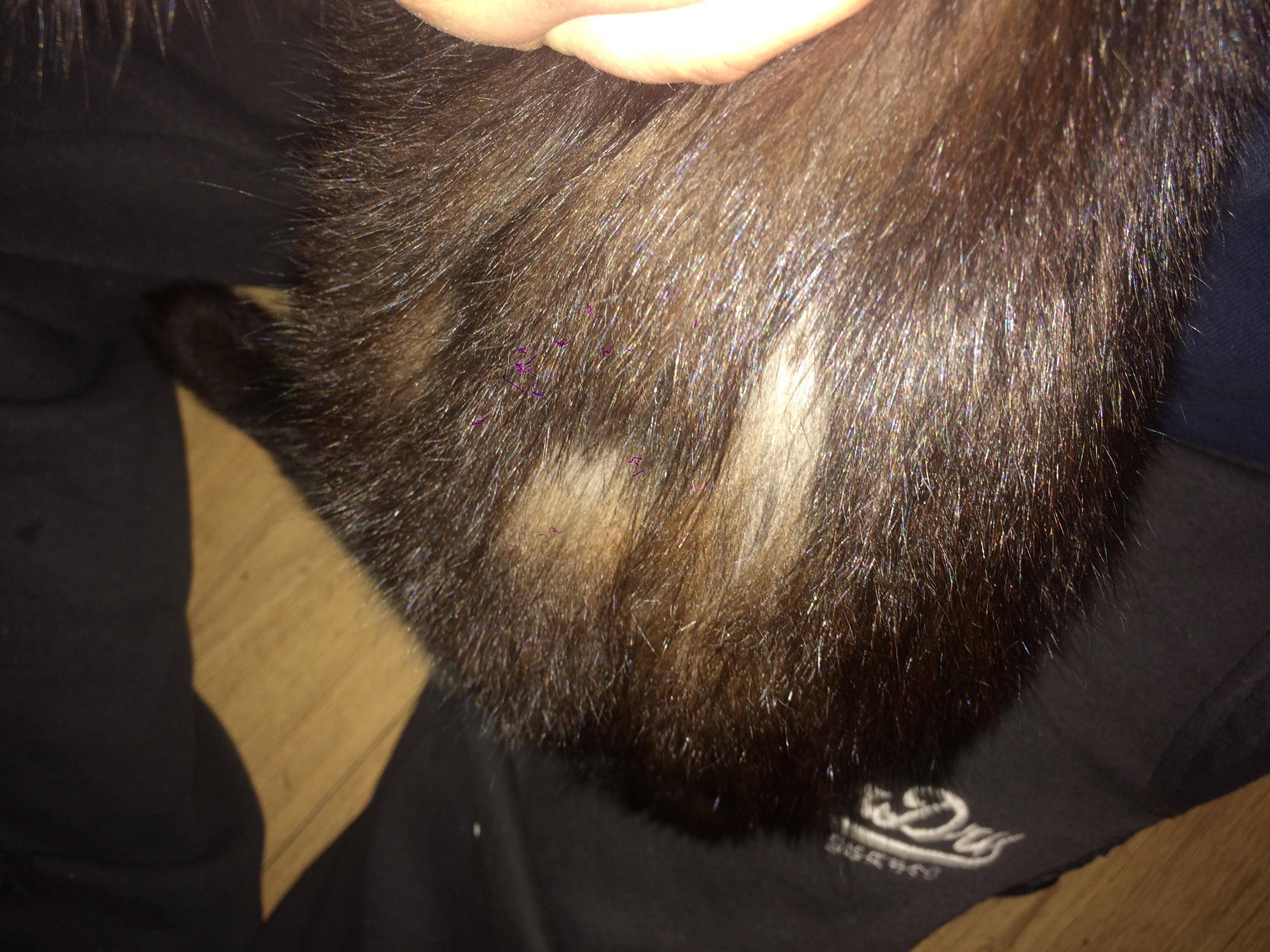 Question details sensitive content