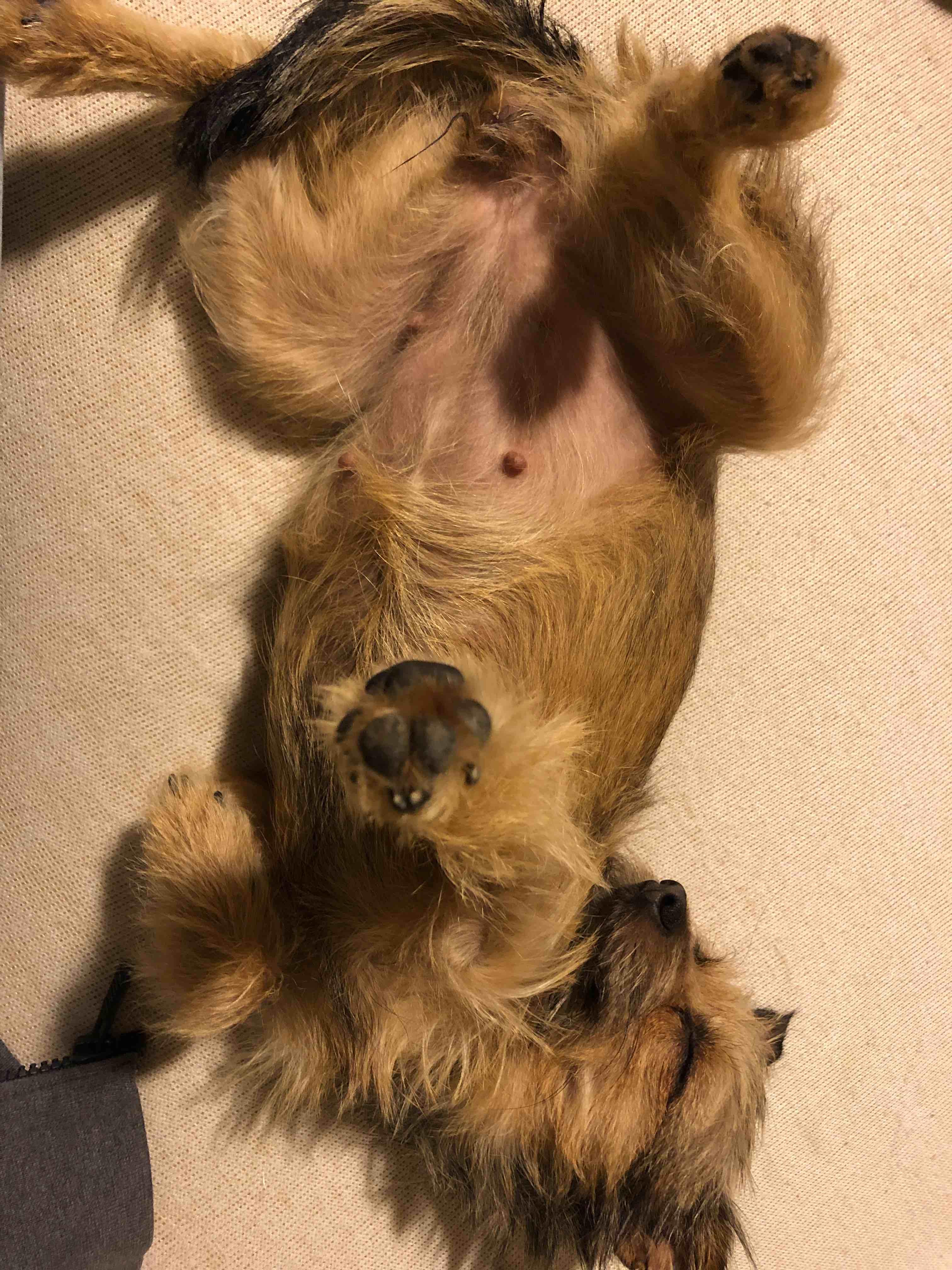 Question details sensitive content