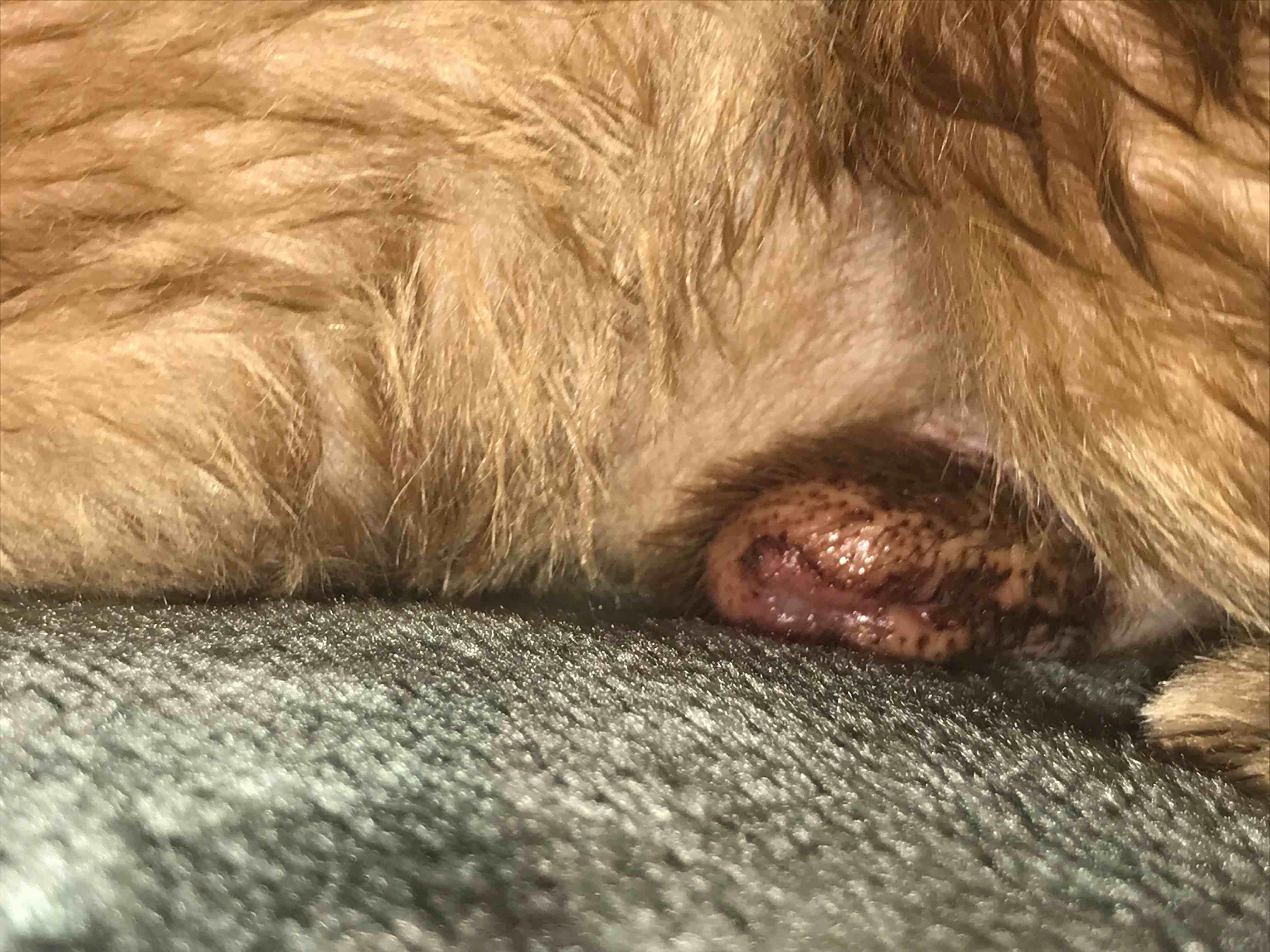 Question details sensitive content