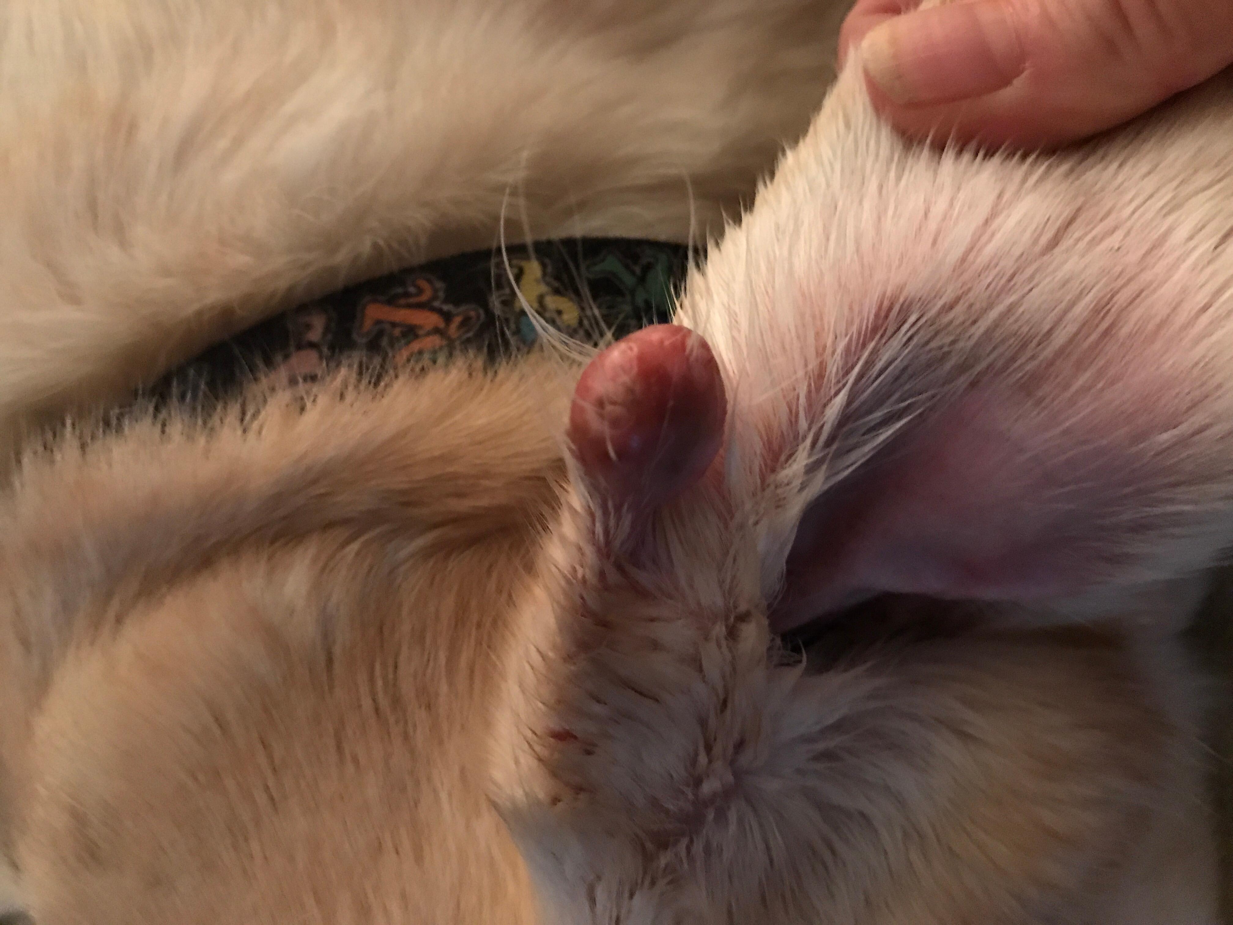 Question details sensitive content