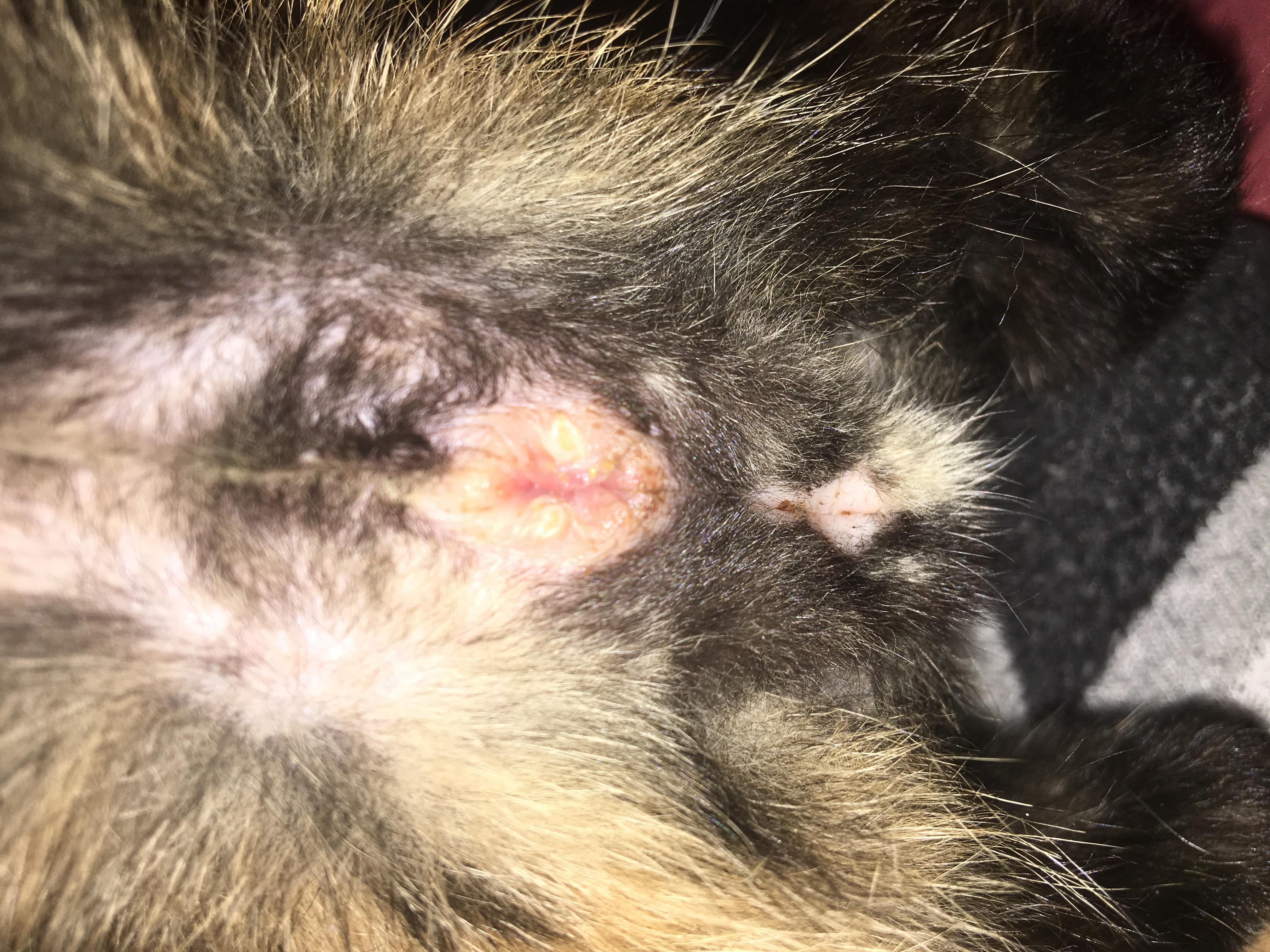 Question details sensitive content