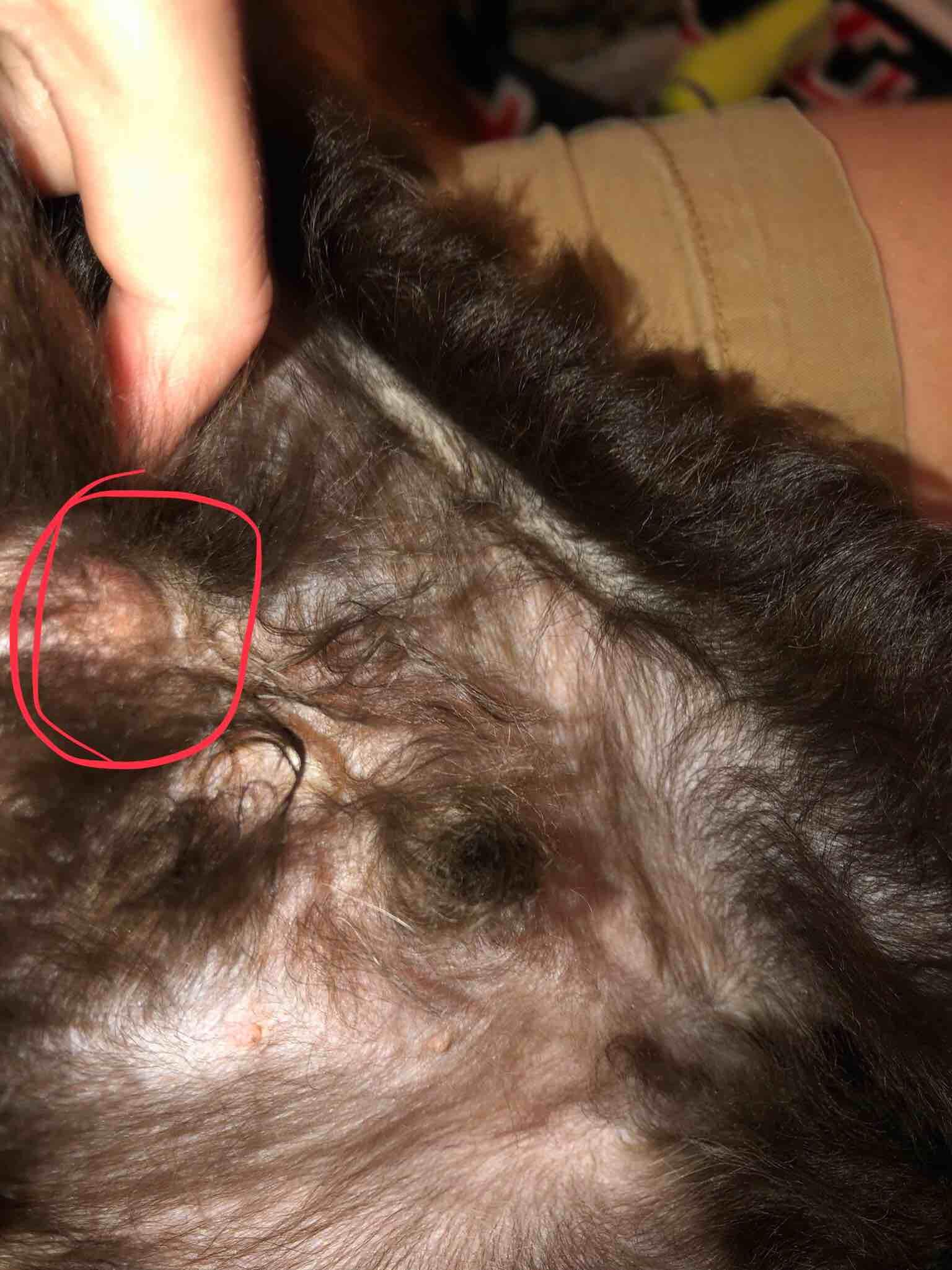 Question details sensitive content