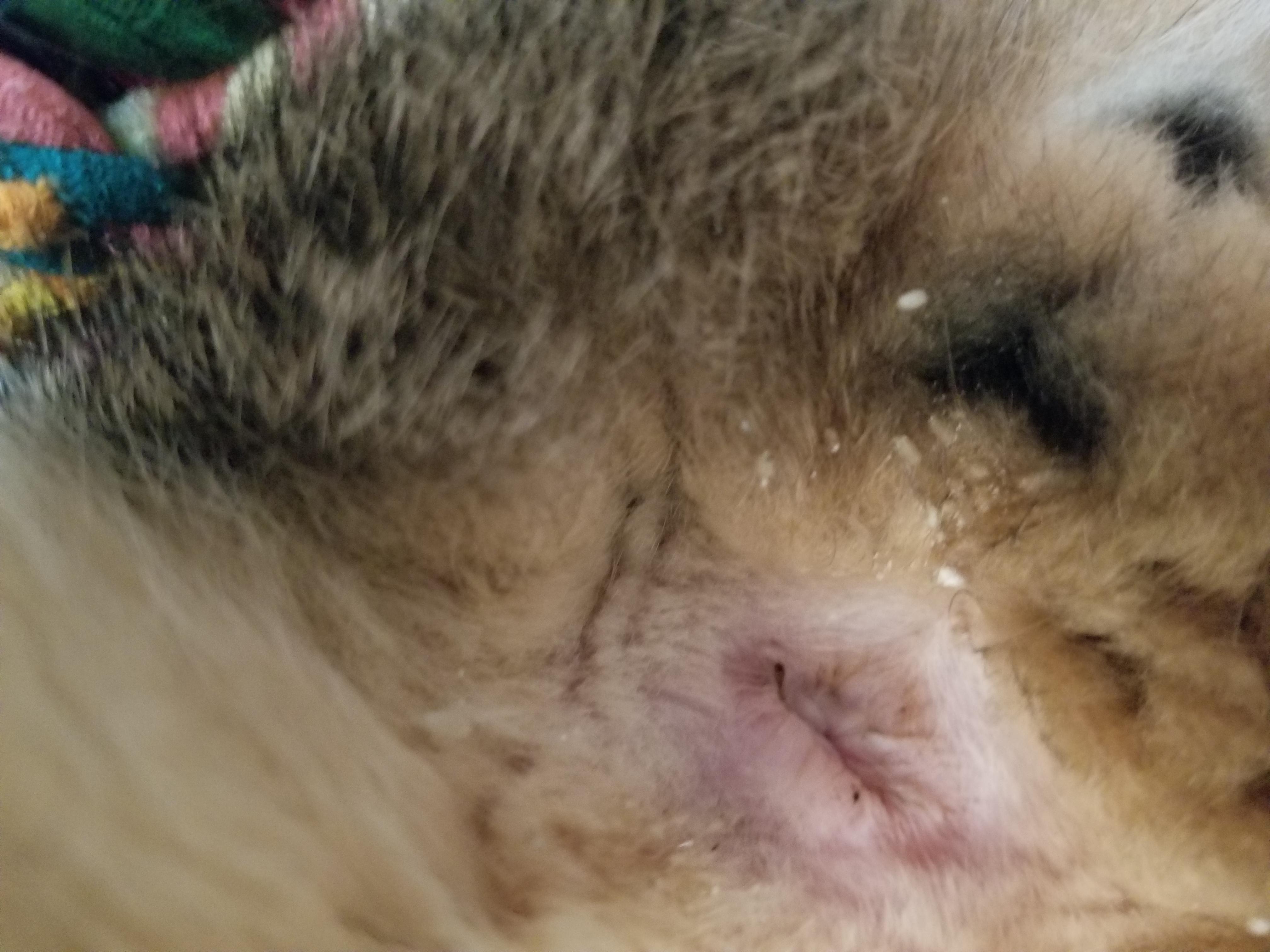 Question details sensitive content