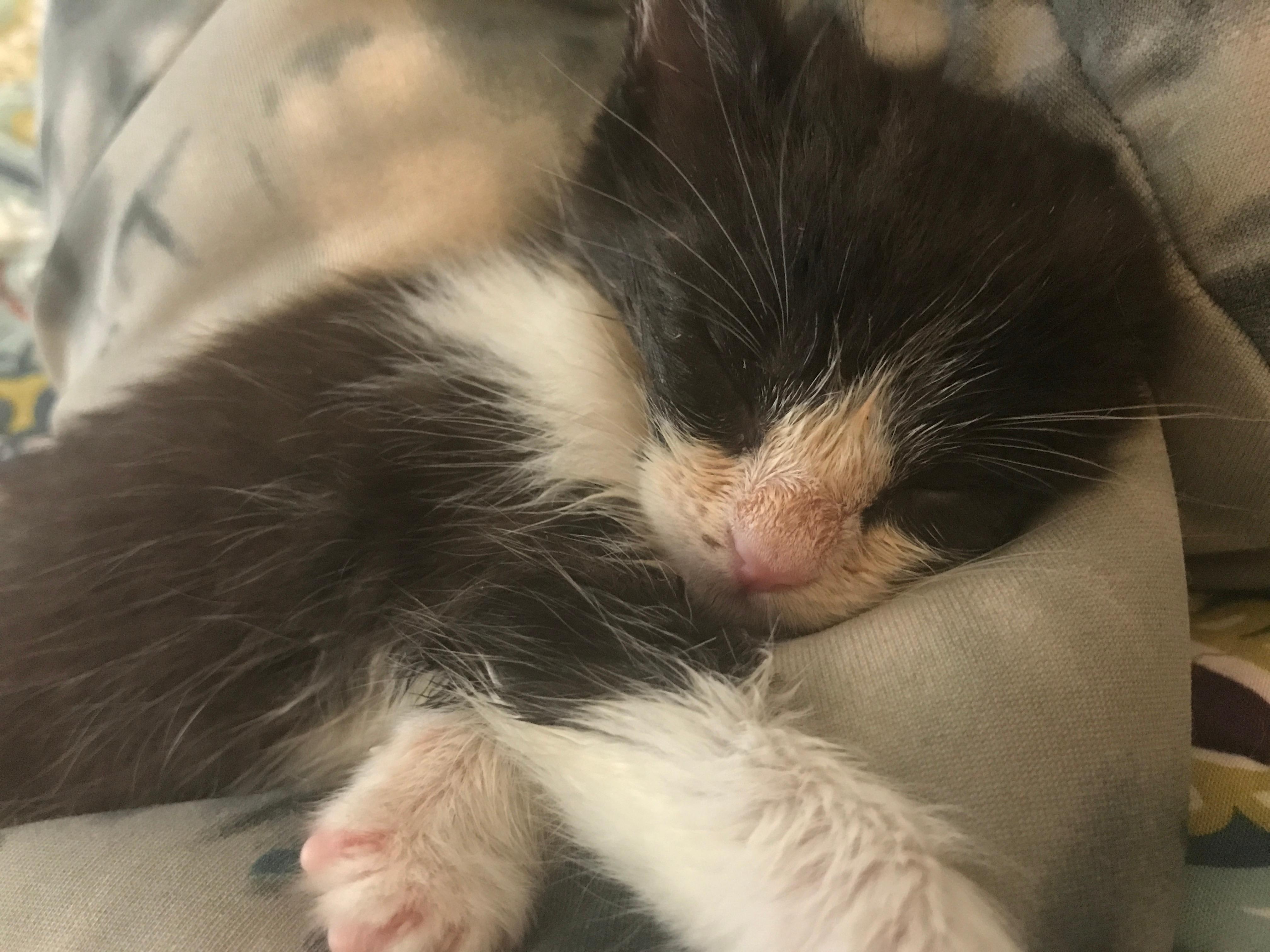 Question details sensitive content