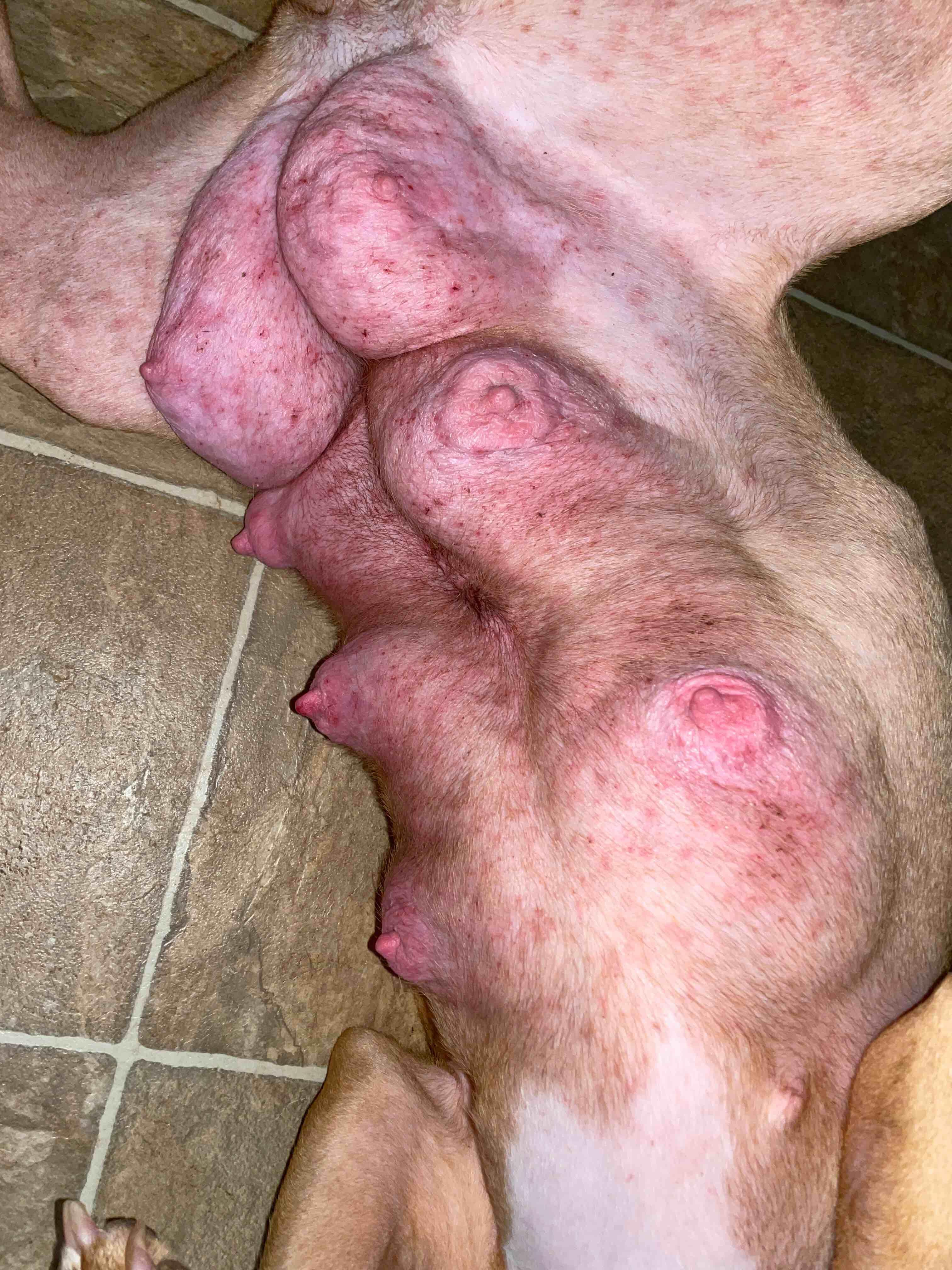 Question details sensitive content