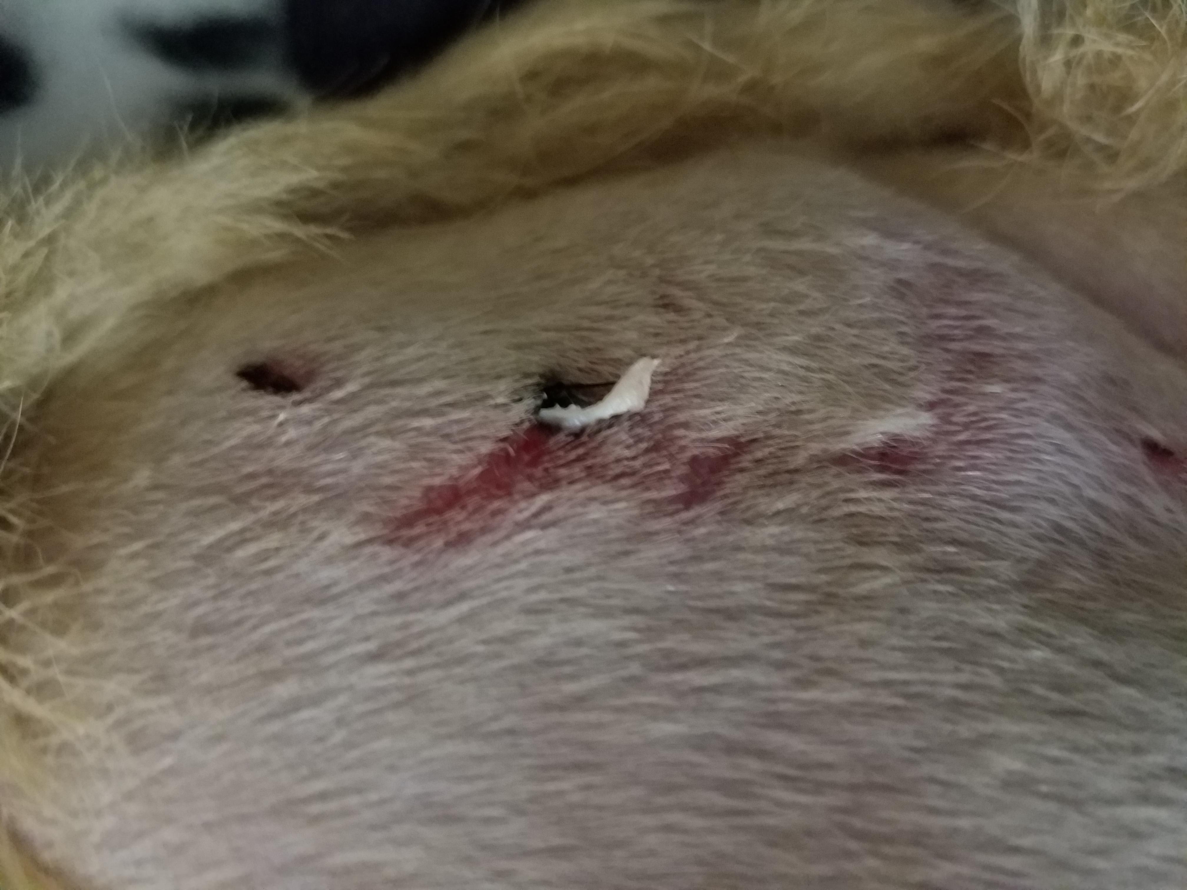 Question details sensitive content