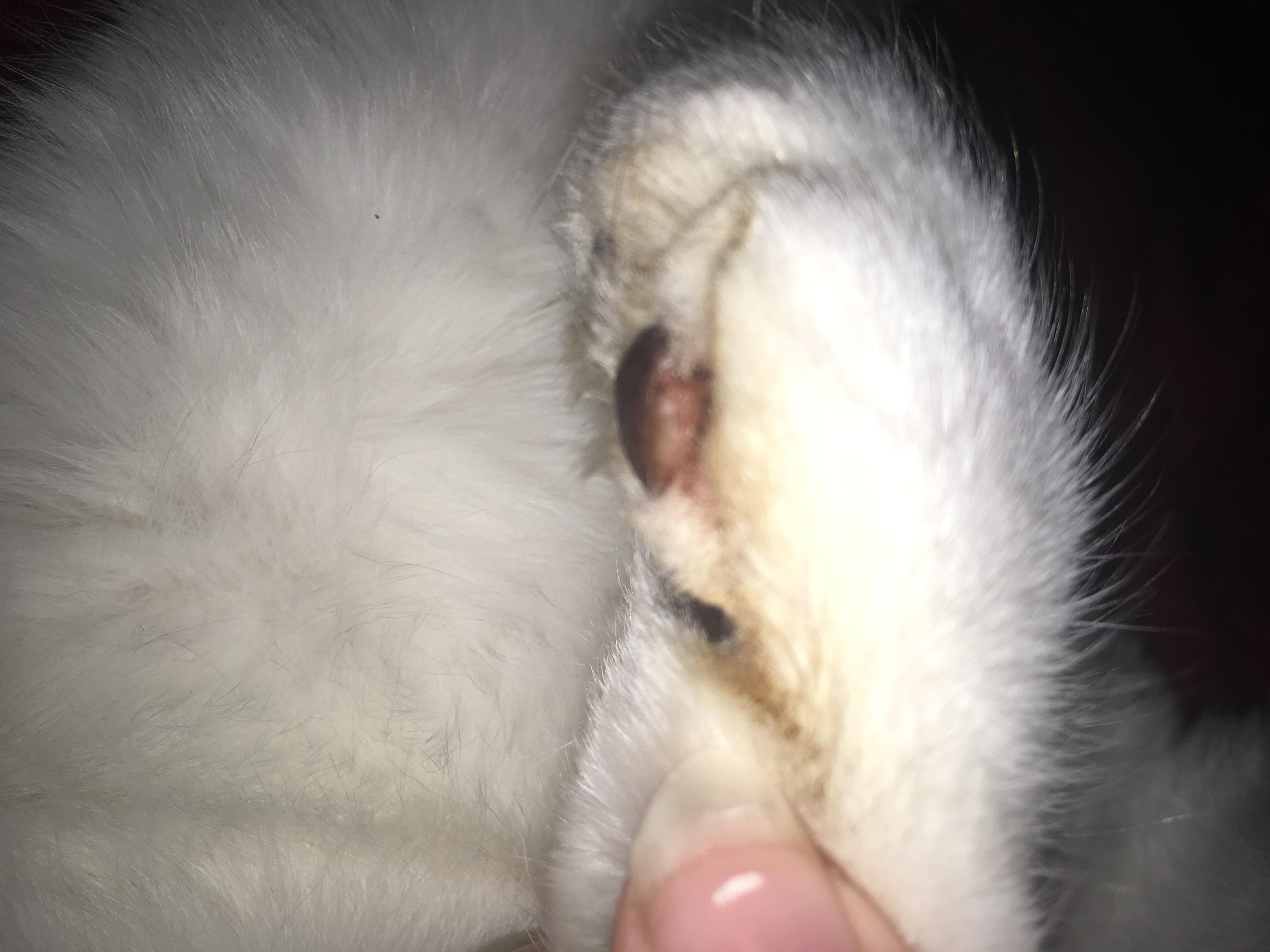 Question details sensitive content