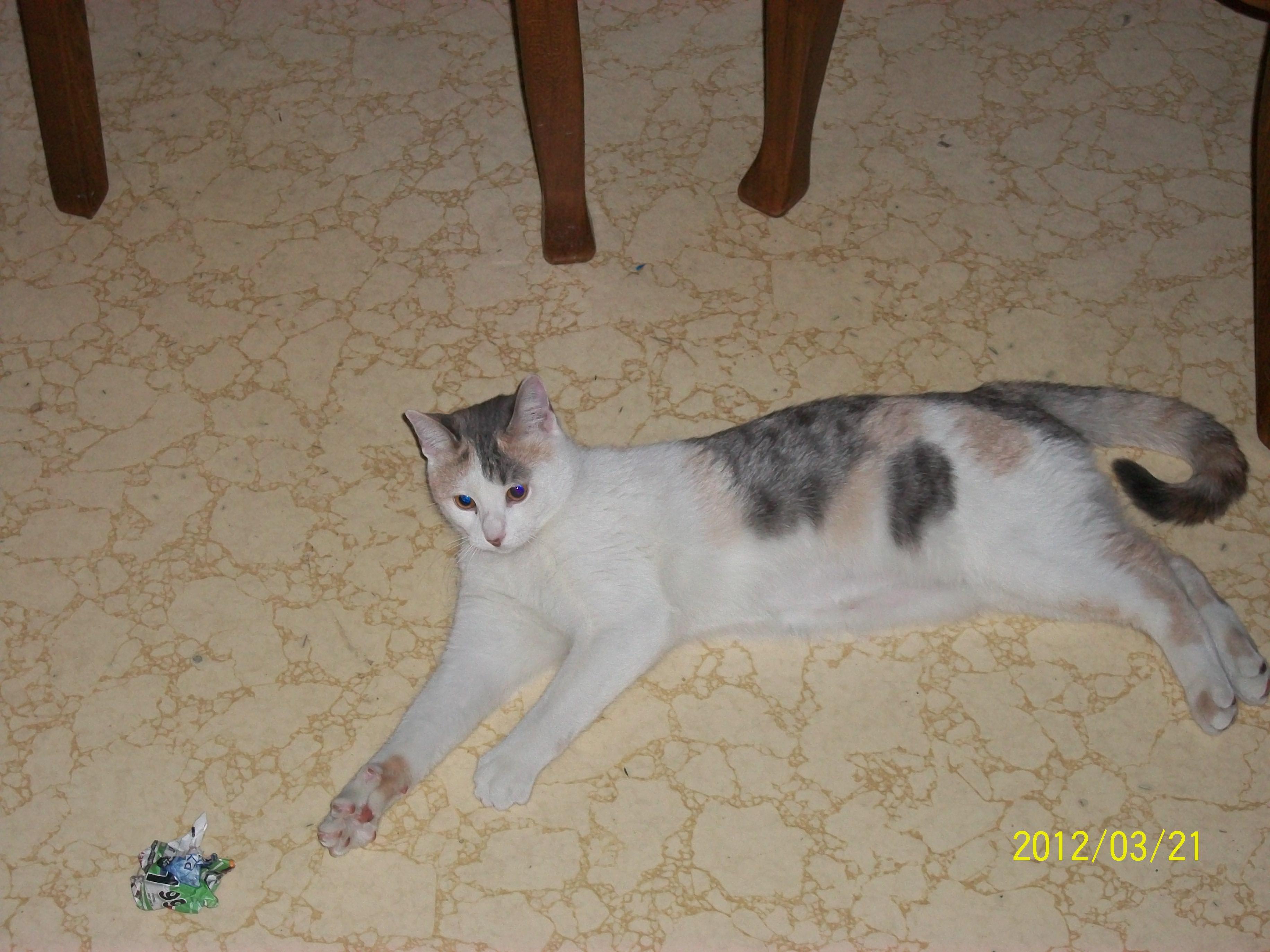 Question details sensitive content